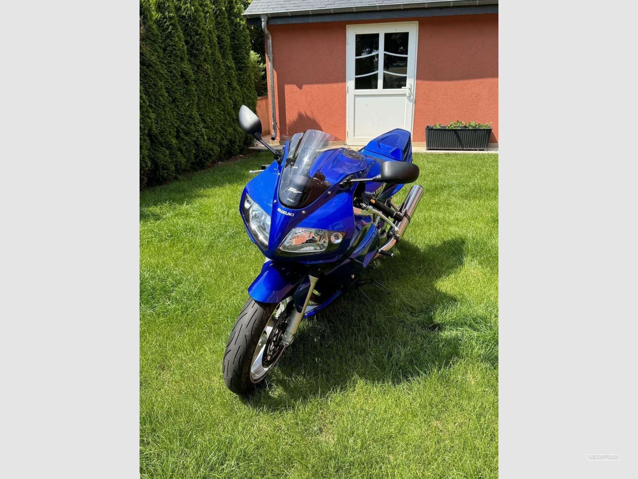 Suzuki SV Suzuki SV1000S (2003) - Foto 2