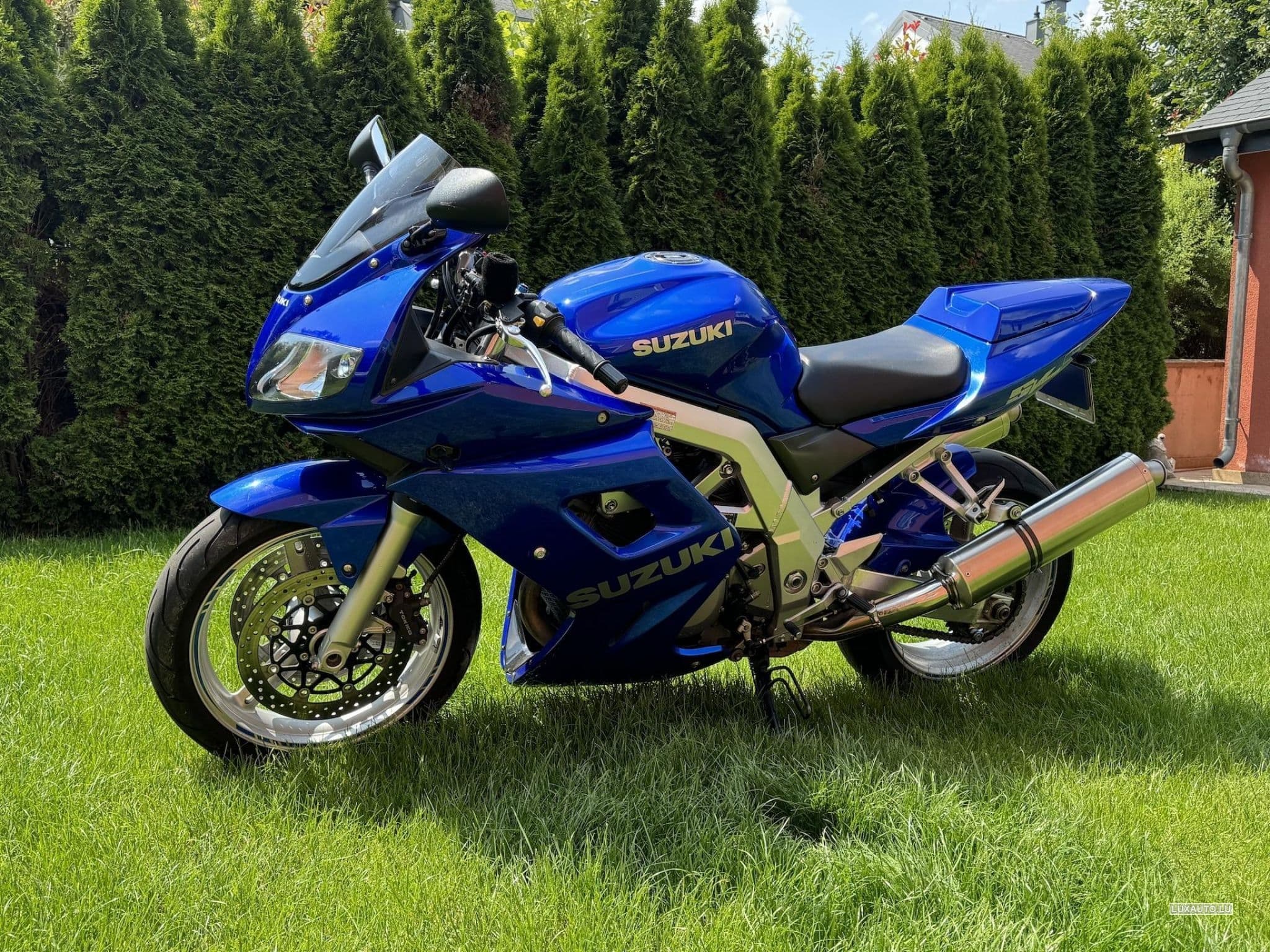 Suzuki SV Suzuki SV1000S (2003) - Foto 3