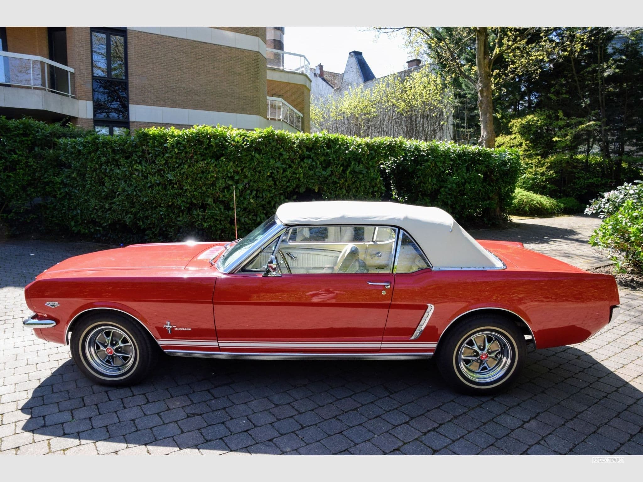 Ford Mustang V8 289ci GT (1970) - Foto 1