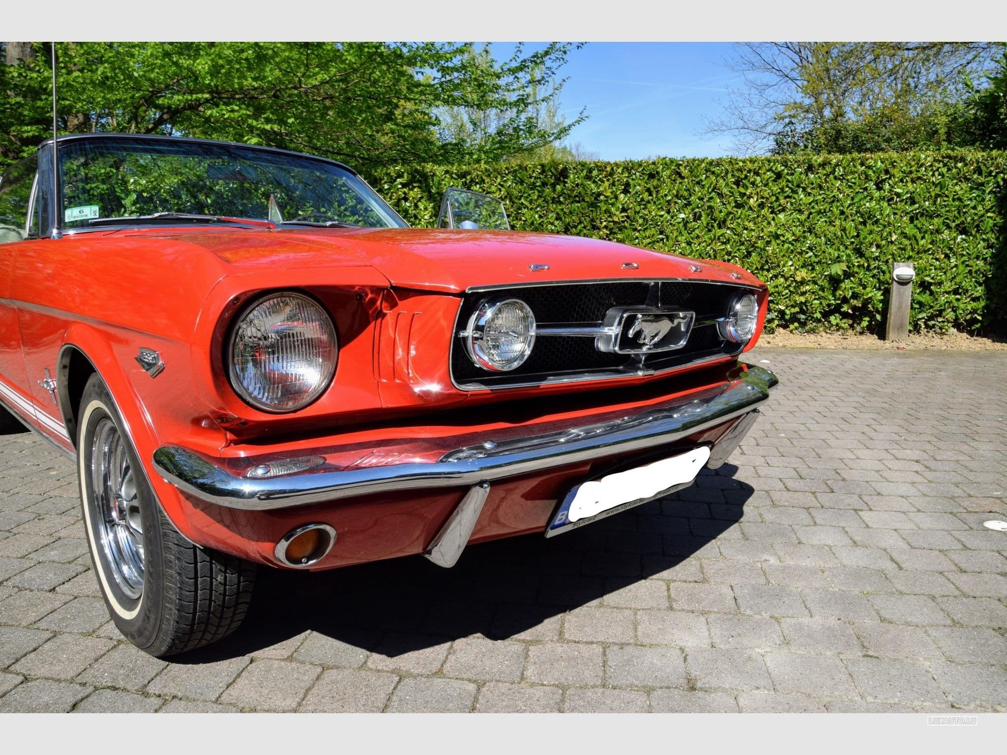 Ford Mustang V8 289ci GT (1970) - Foto 11