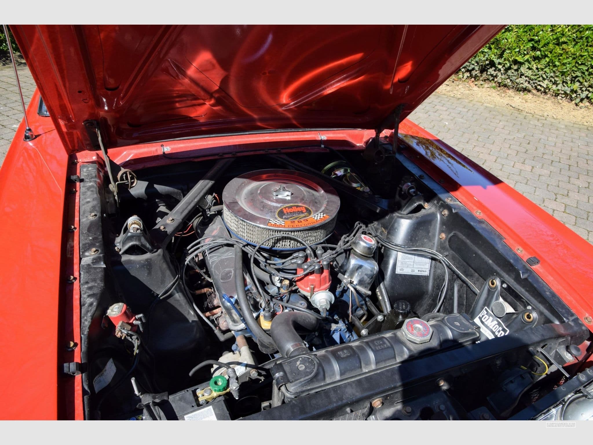 Ford Mustang V8 289ci GT (1970) - Foto 14