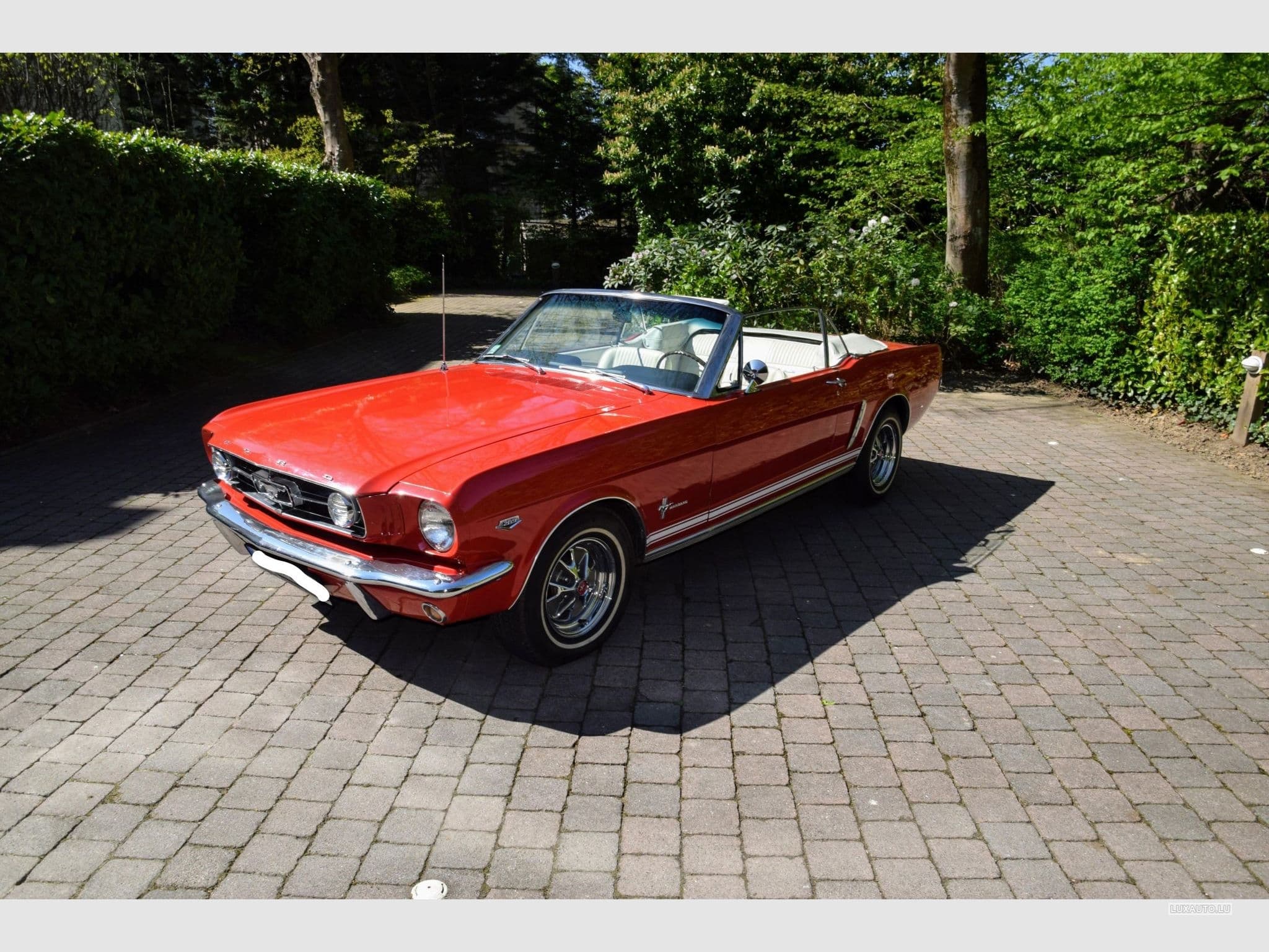 Ford Mustang V8 289ci GT (1970) - Foto 5