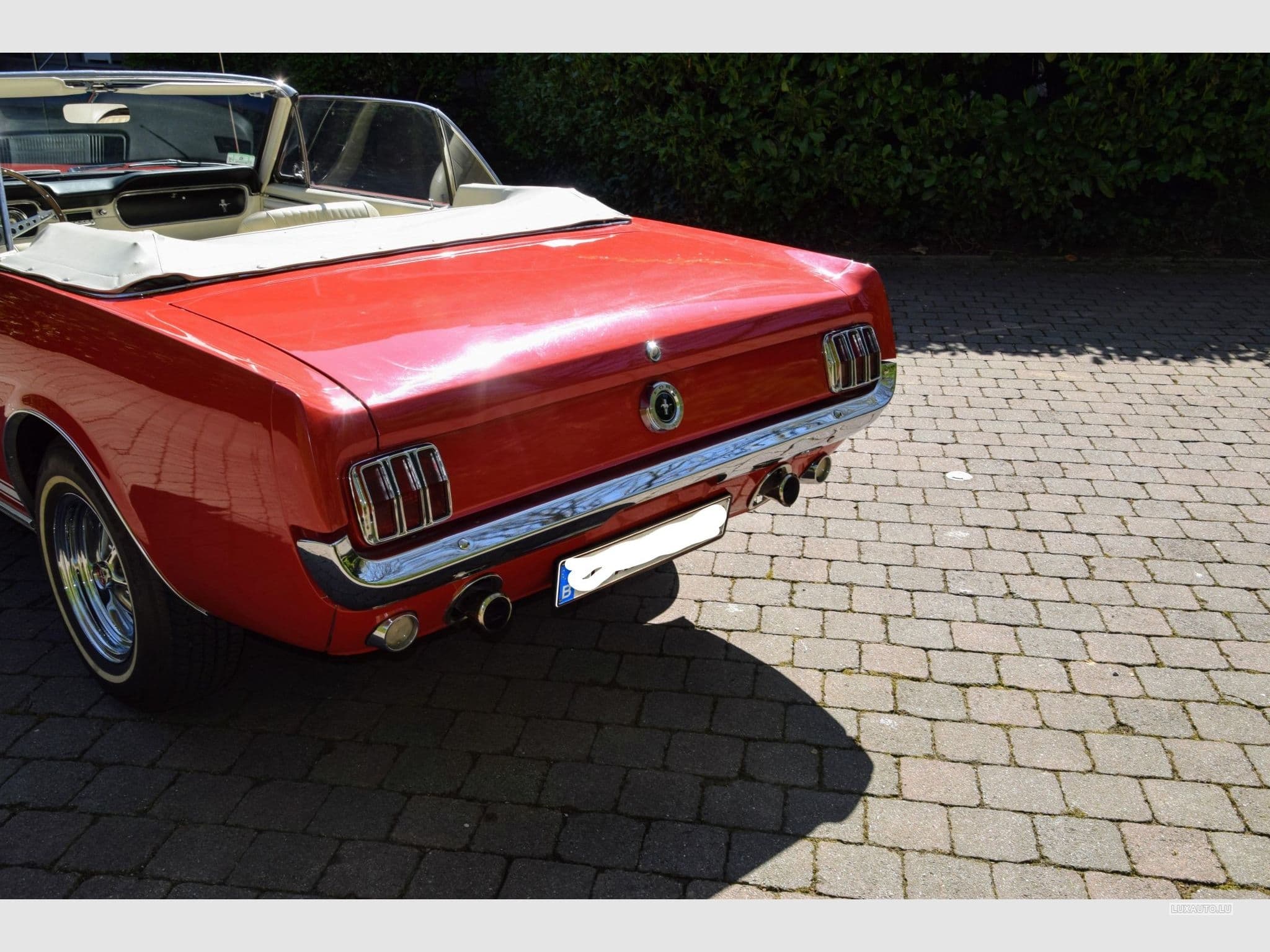 Ford Mustang V8 289ci GT (1970) - Foto 8