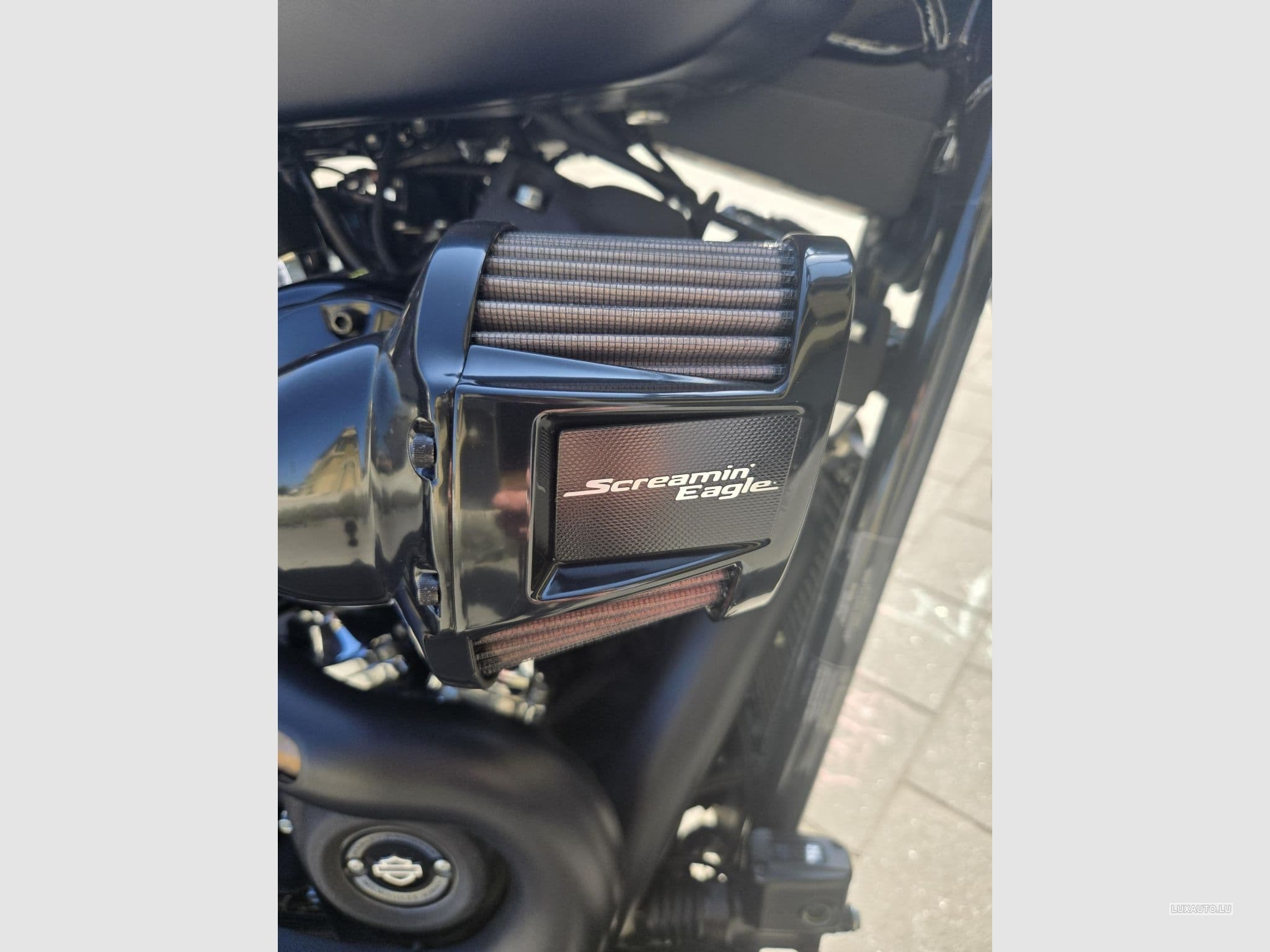 Harley-Davidson Fat Bob Stage 1 et customisé (2020) - Photo 4