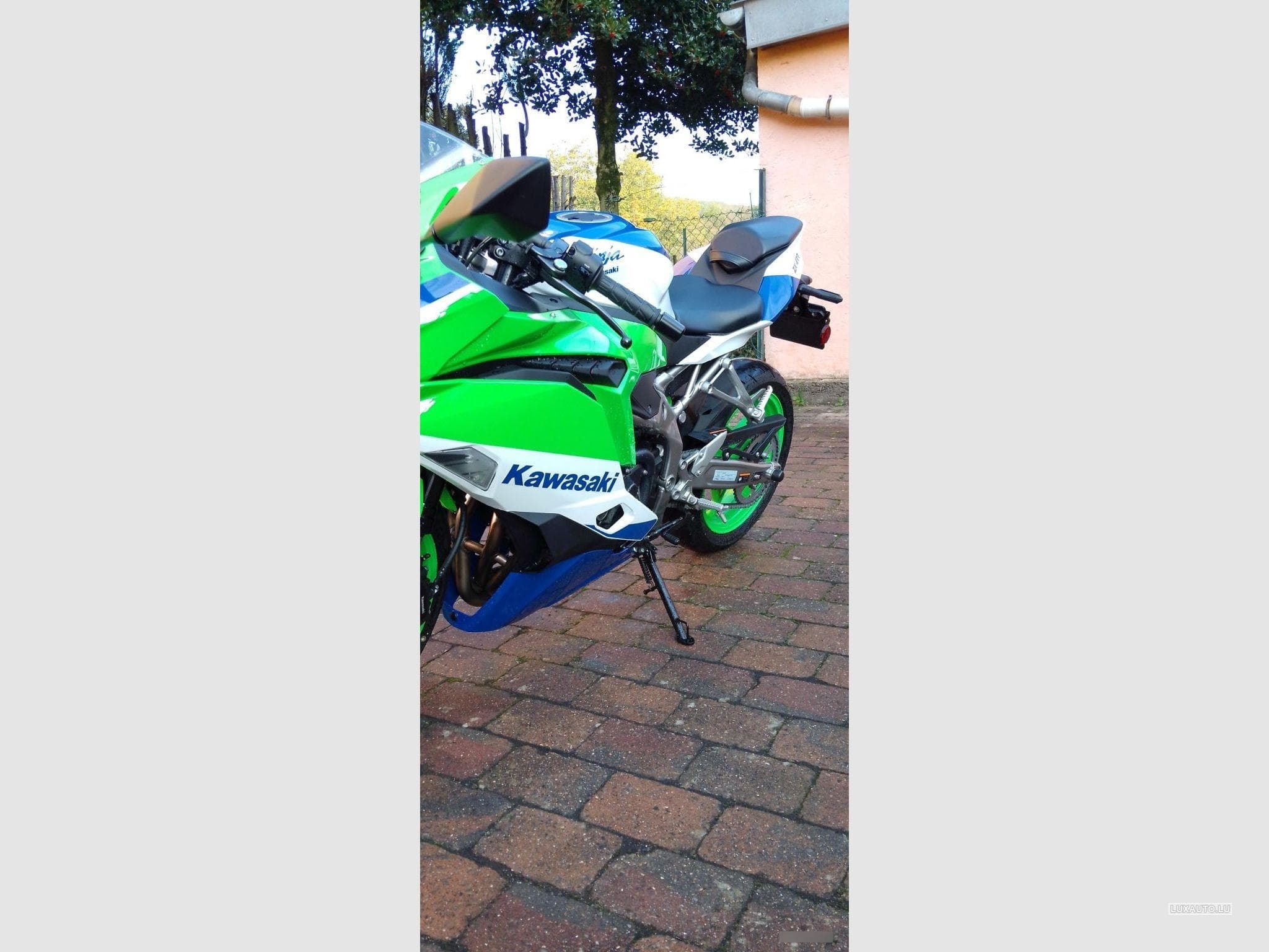 Kawasaki ZX4R 40th Anniversary (2024) - Photo 7