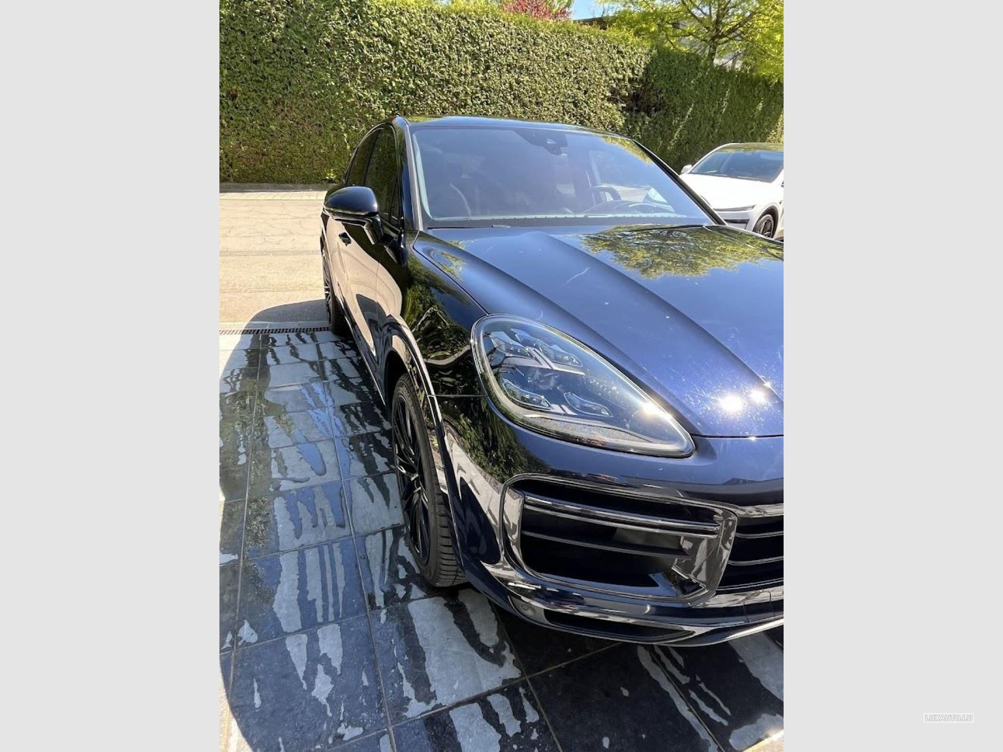 Porsche Cayenne Turbo Sport (2020) - Photo 5