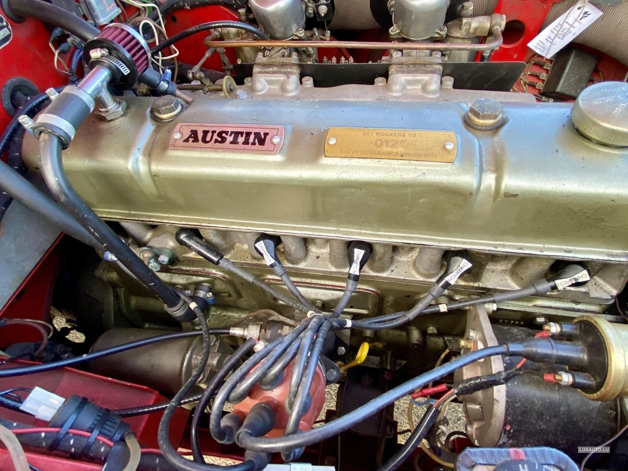 Austin-Healey 100 / 6 (1970) - Photo 9