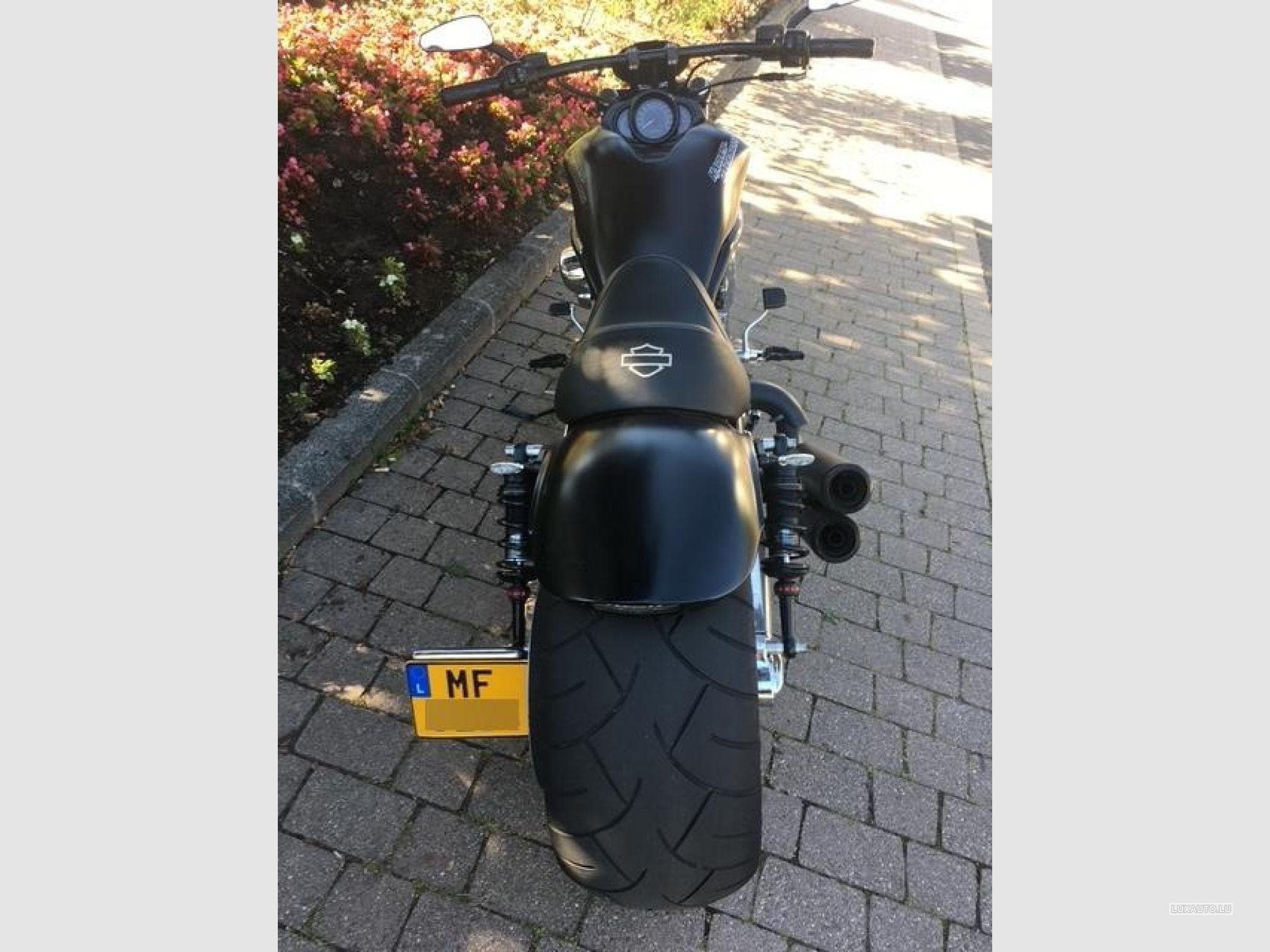 Harley-Davidson V-Rod CVO (2006) - Foto 1