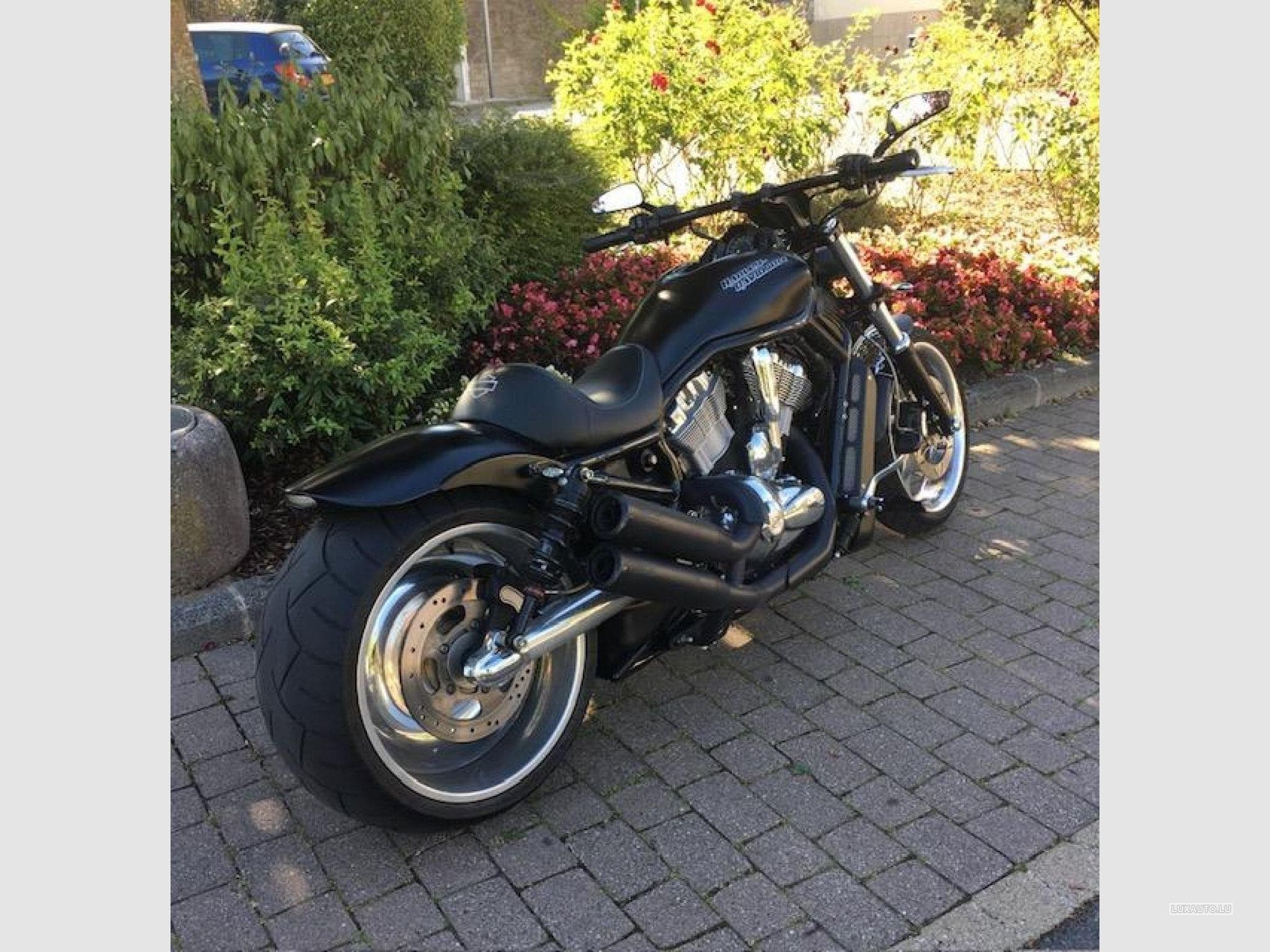 Harley-Davidson V-Rod CVO (2006) - Foto 2