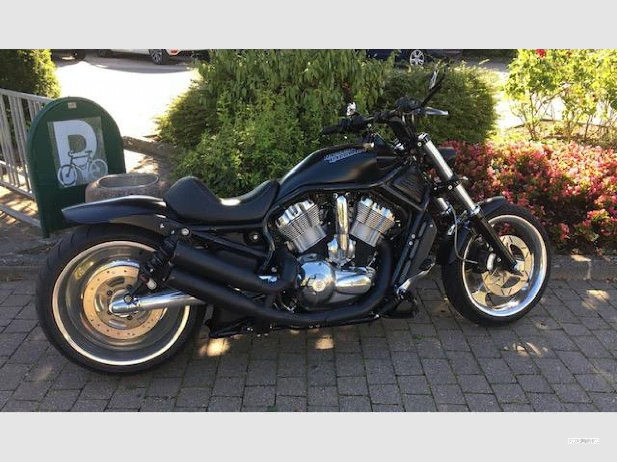 Harley-Davidson V-Rod CVO (2006) - Foto 3