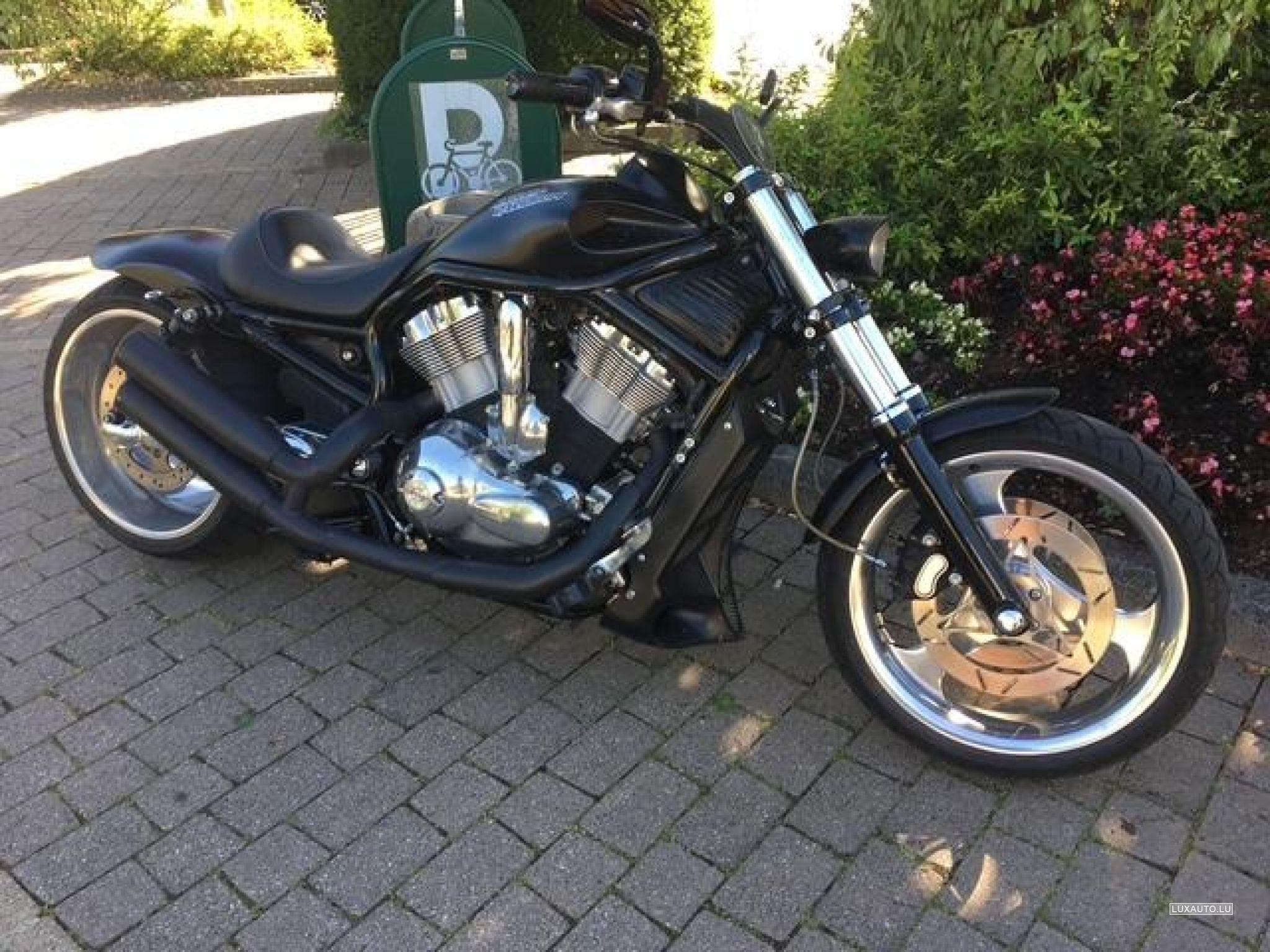 Harley-Davidson V-Rod CVO (2006) - Foto 4