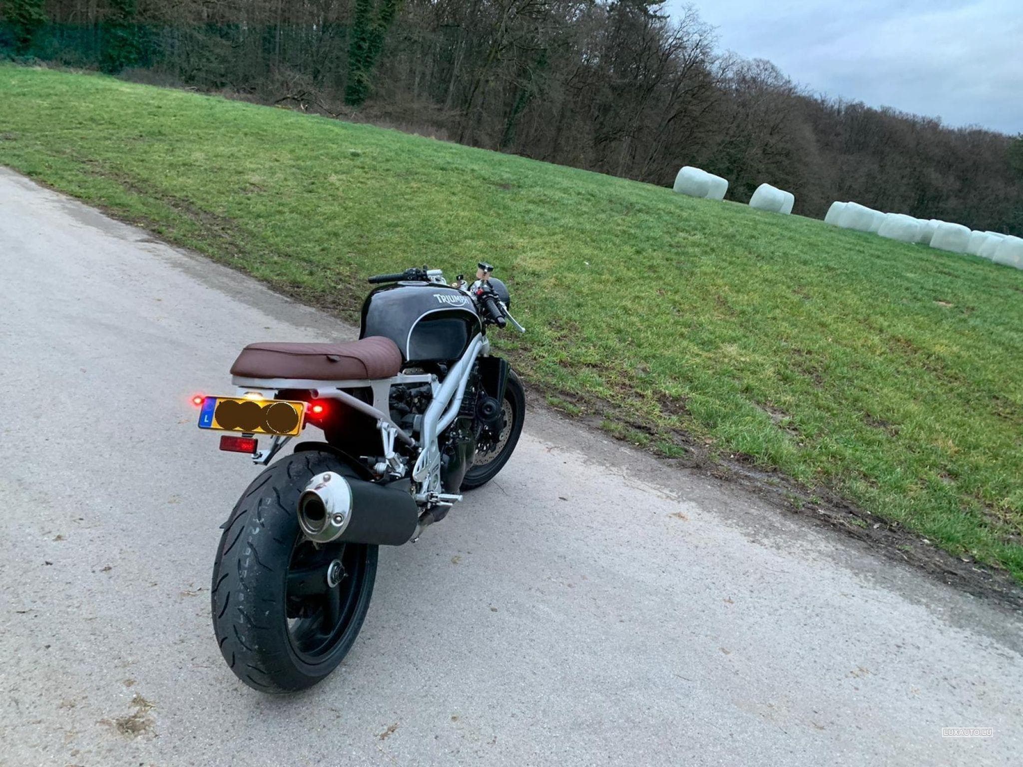 Triumph Daytona Café Racer (1999) - Photo 2