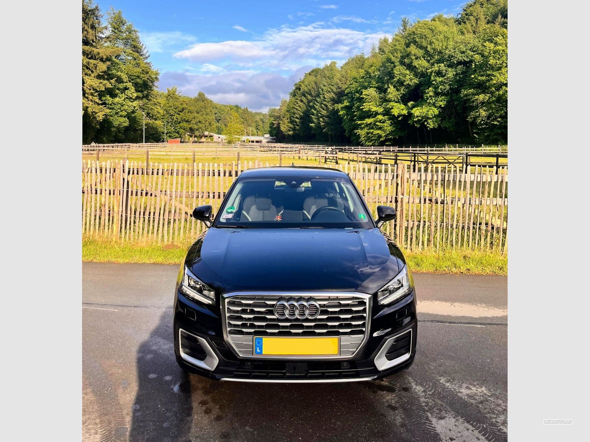 Audi Q2 Audi Q2 35 TFSI Advanced (2020) - Foto 1