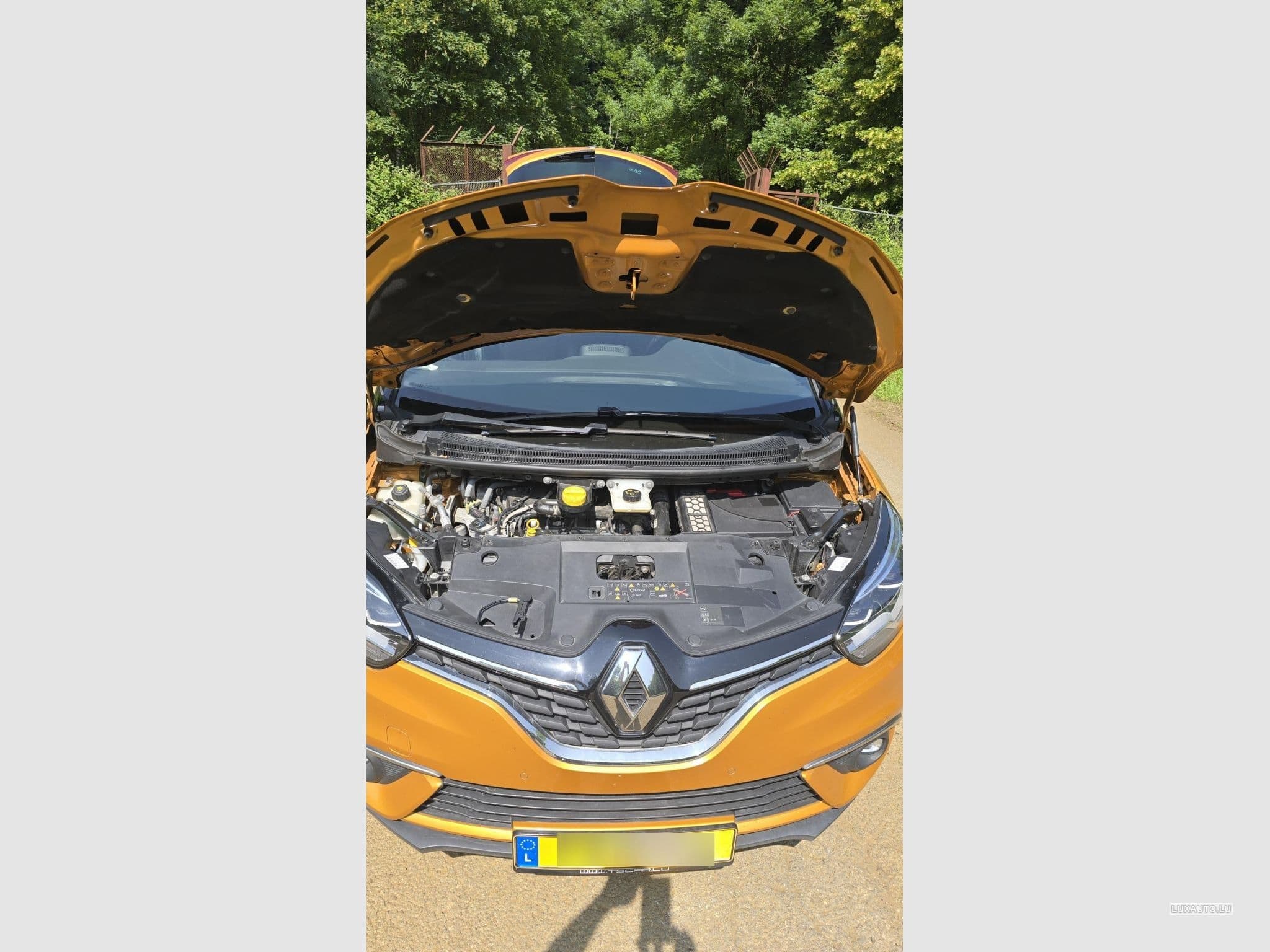 Renault Scenic INTENS (2020) - Foto 5
