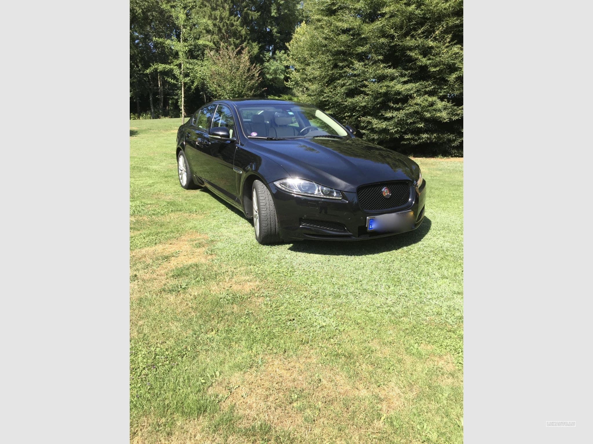 Jaguar XF (2015) - Foto 11