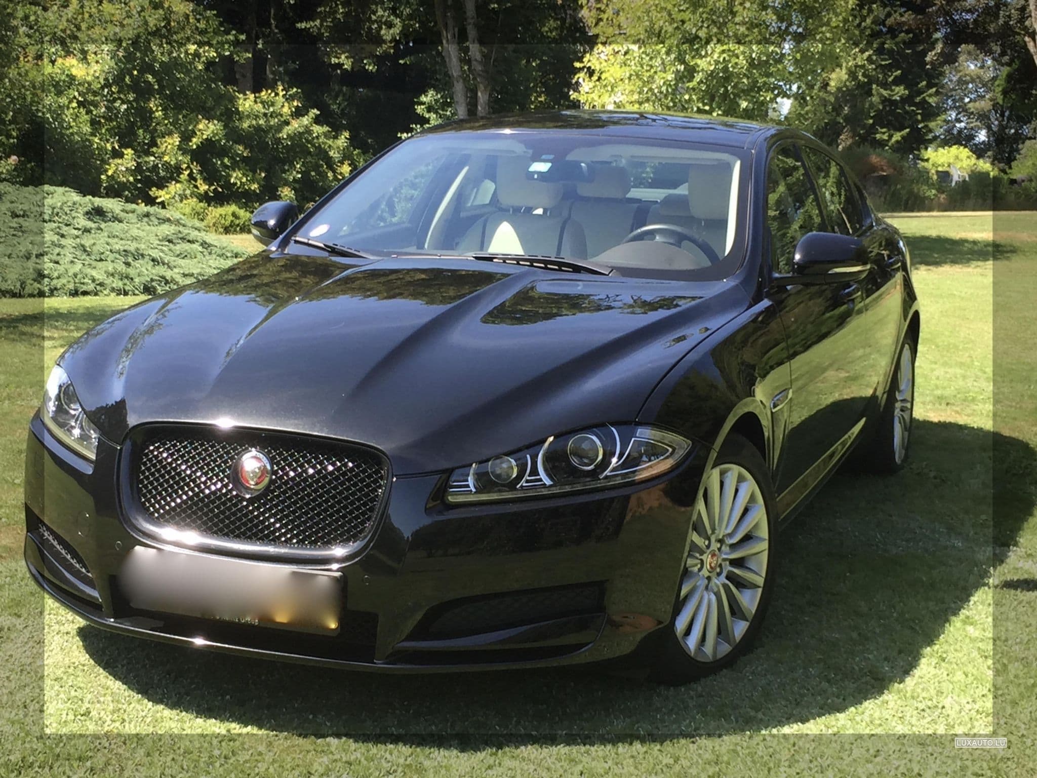 Jaguar XF (2015) - Foto 3