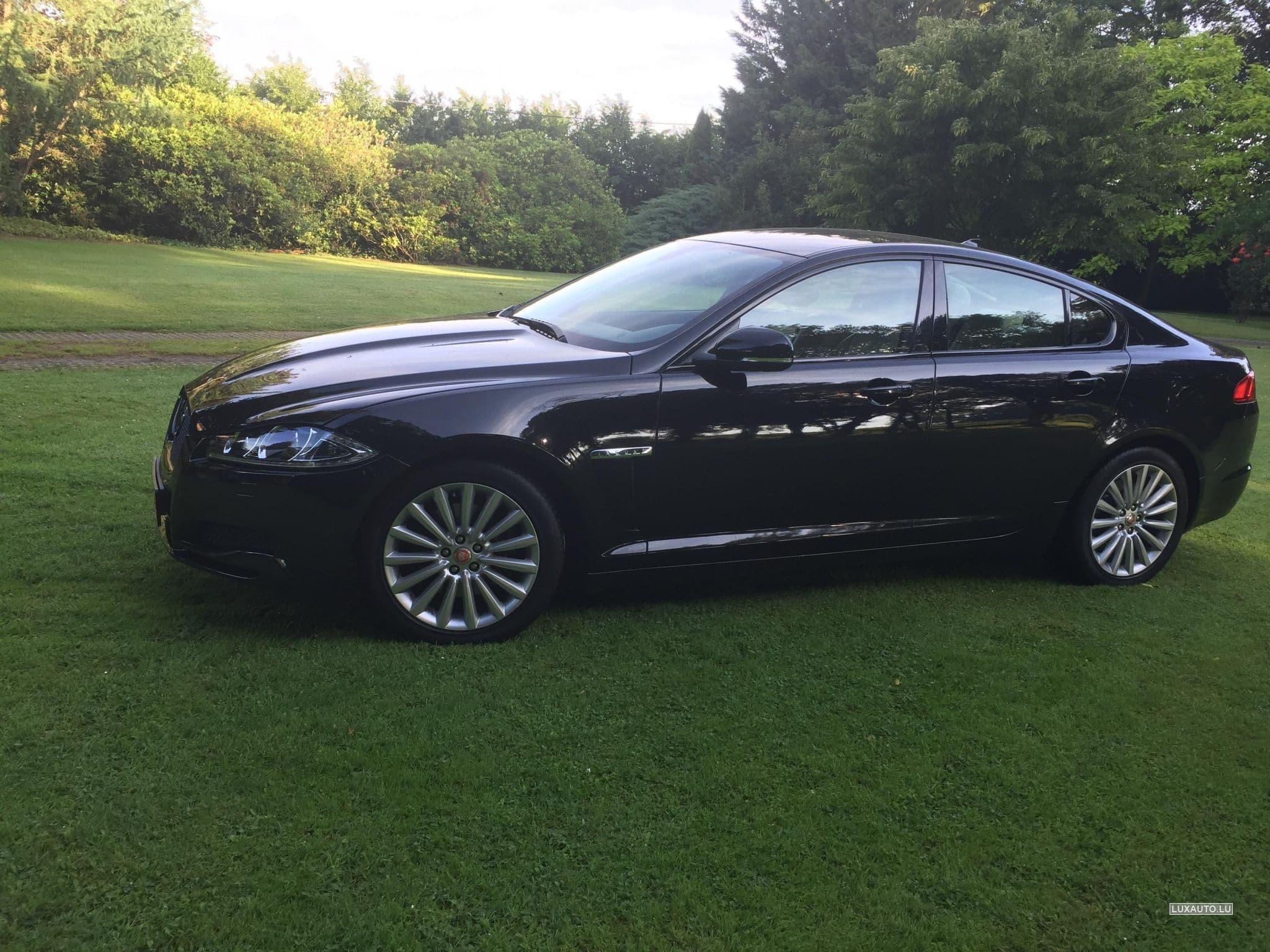 Jaguar XF (2015) - Foto 6