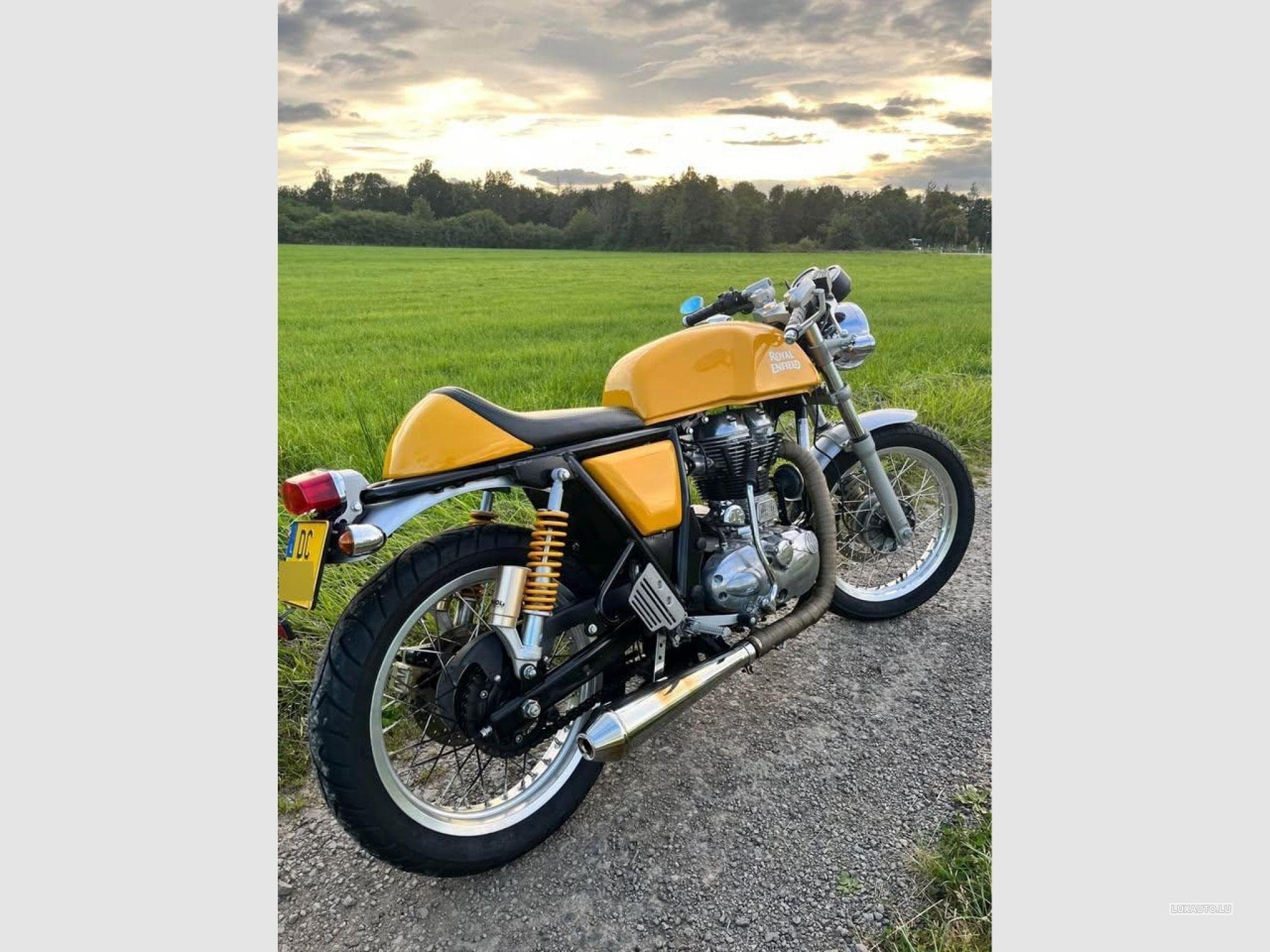 Royal Enfield Continental GT (2015) - Photo 2