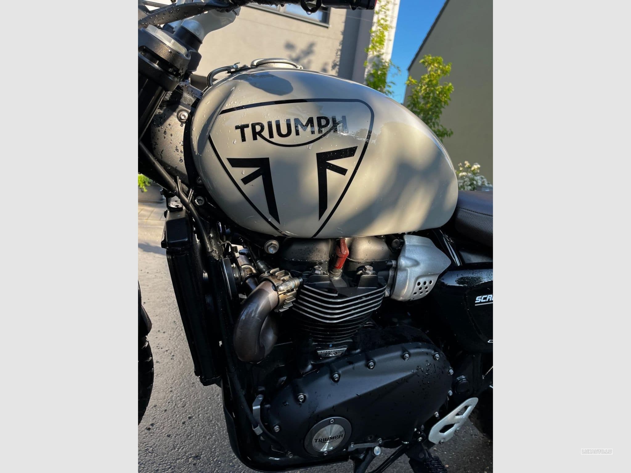 Triumph Scrambler Seitentasche, Quad Lock (2024) - Photo 5