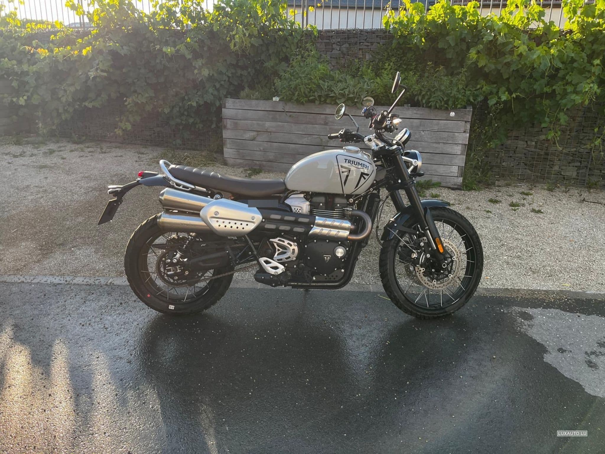 Triumph Scrambler Seitentasche, Quad Lock (2024) - Photo 6