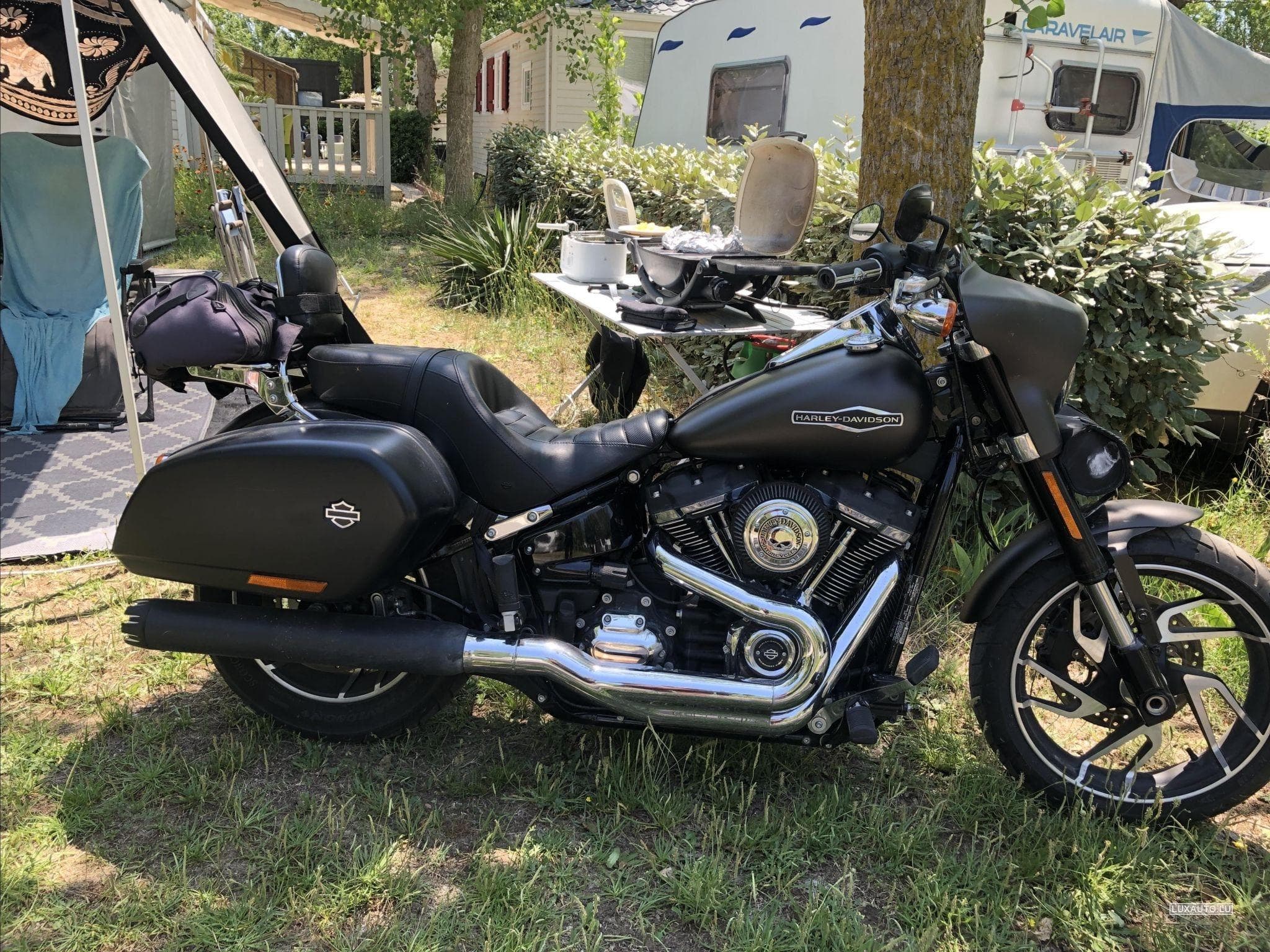 Harley-Davidson Sport Glide (2020) - Photo 2