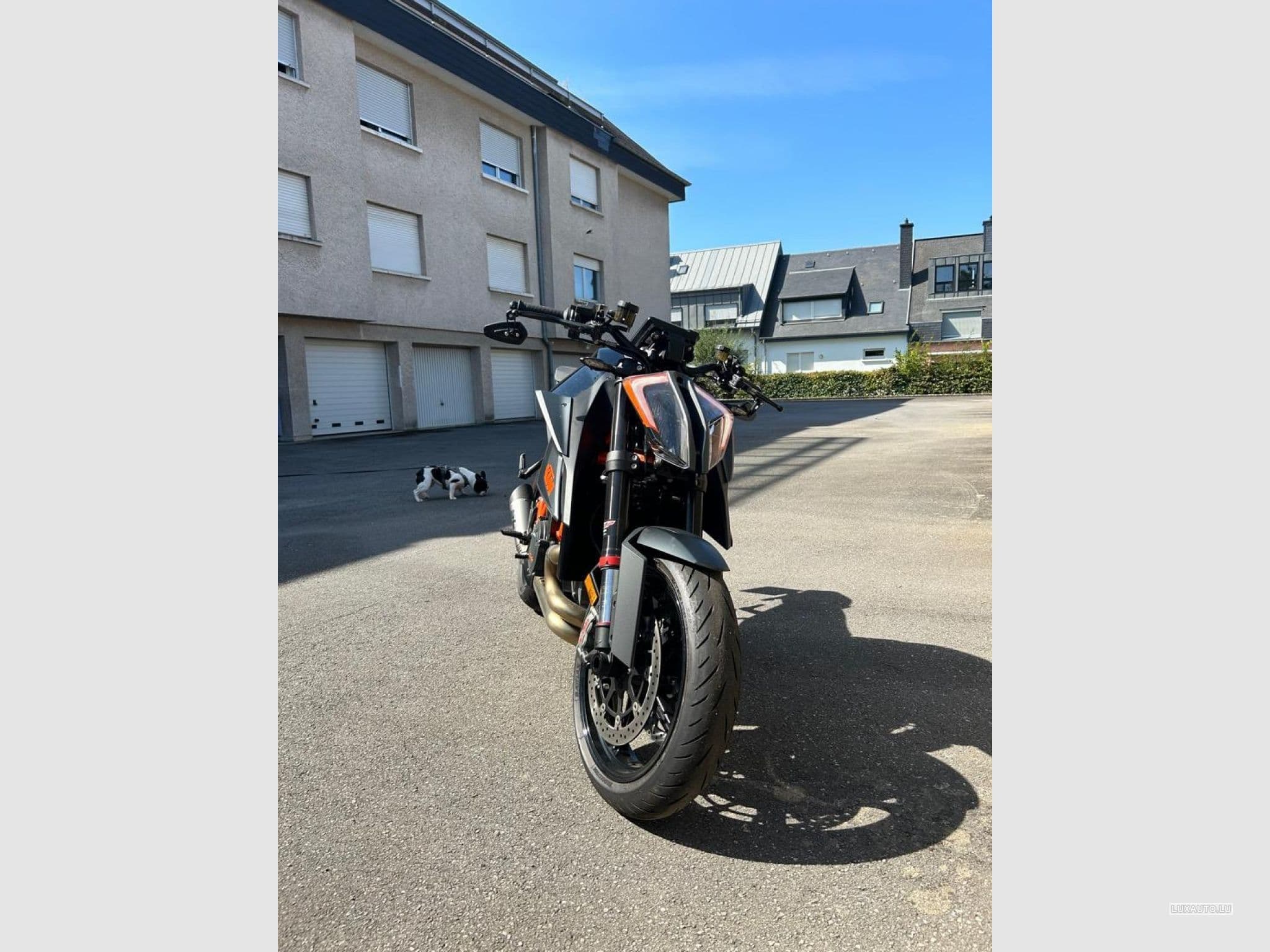 KTM 1290 (2021) - Foto 3