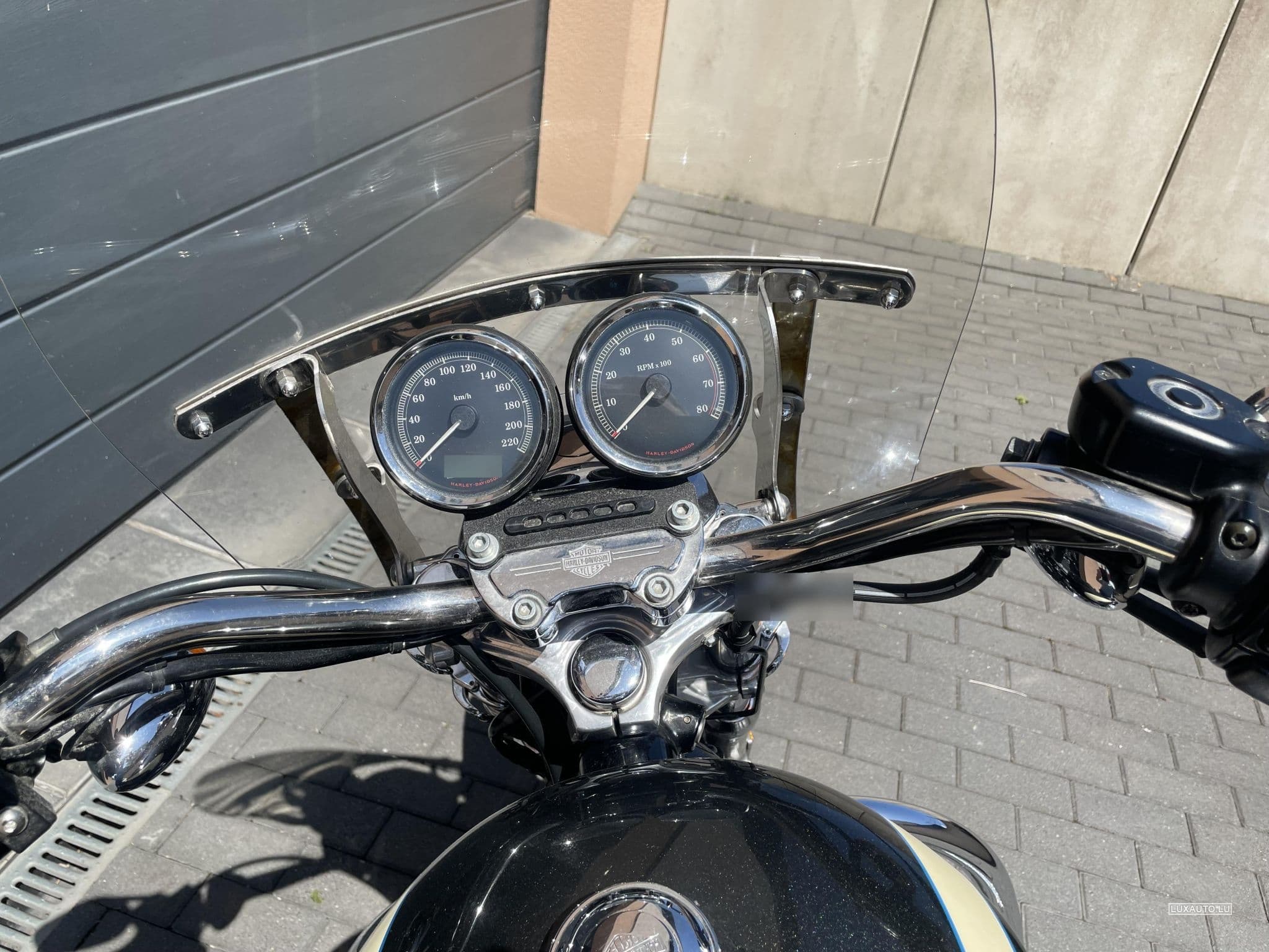 Harley-Davidson Roadster 1200 (2008) - Foto 4