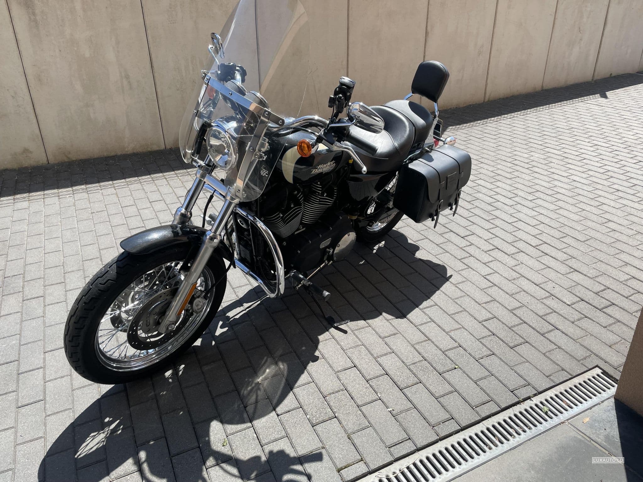 Harley-Davidson Roadster 1200 (2008) - Foto 6