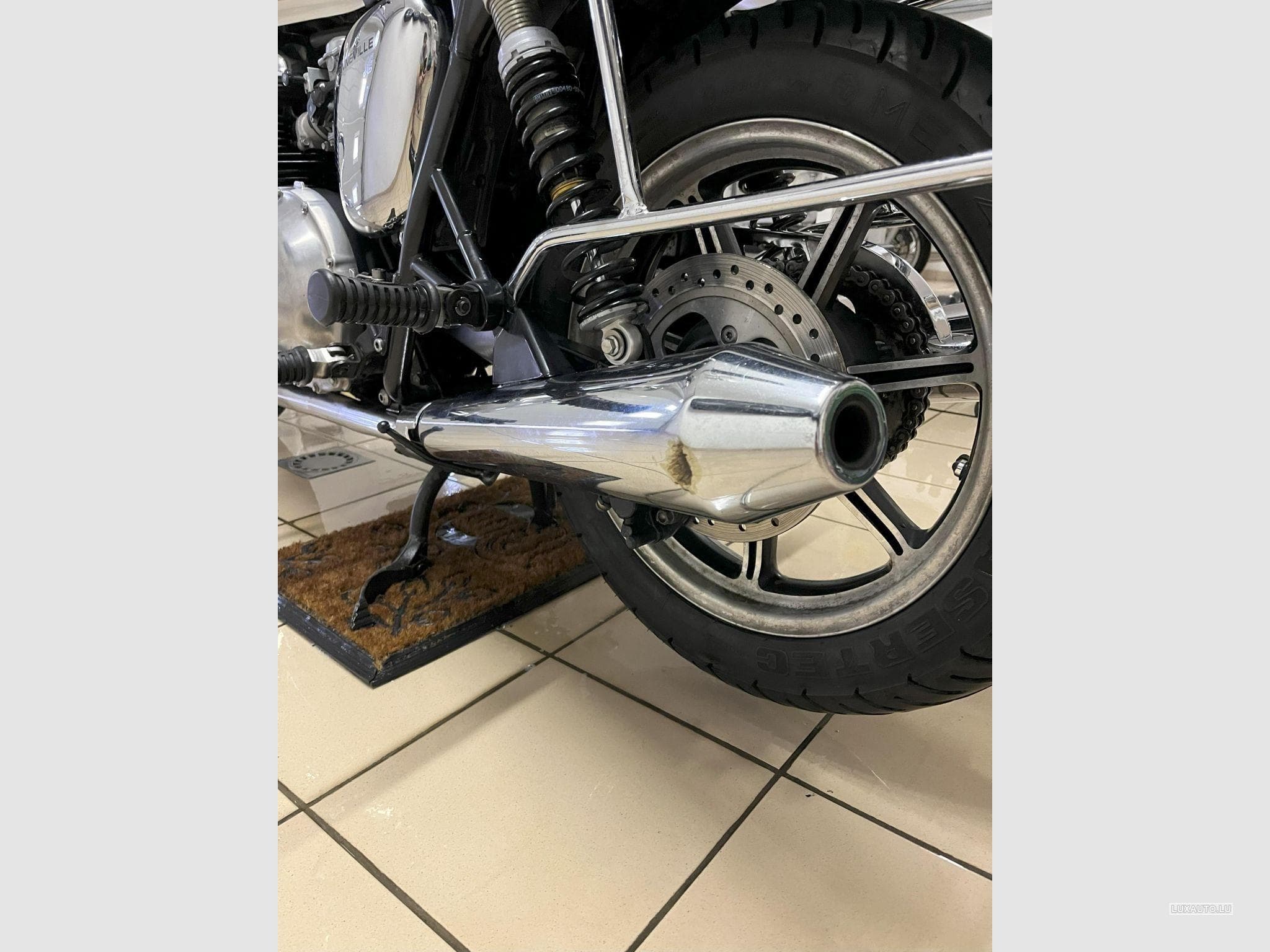 Triumph Bonneville (2011) - Foto 5