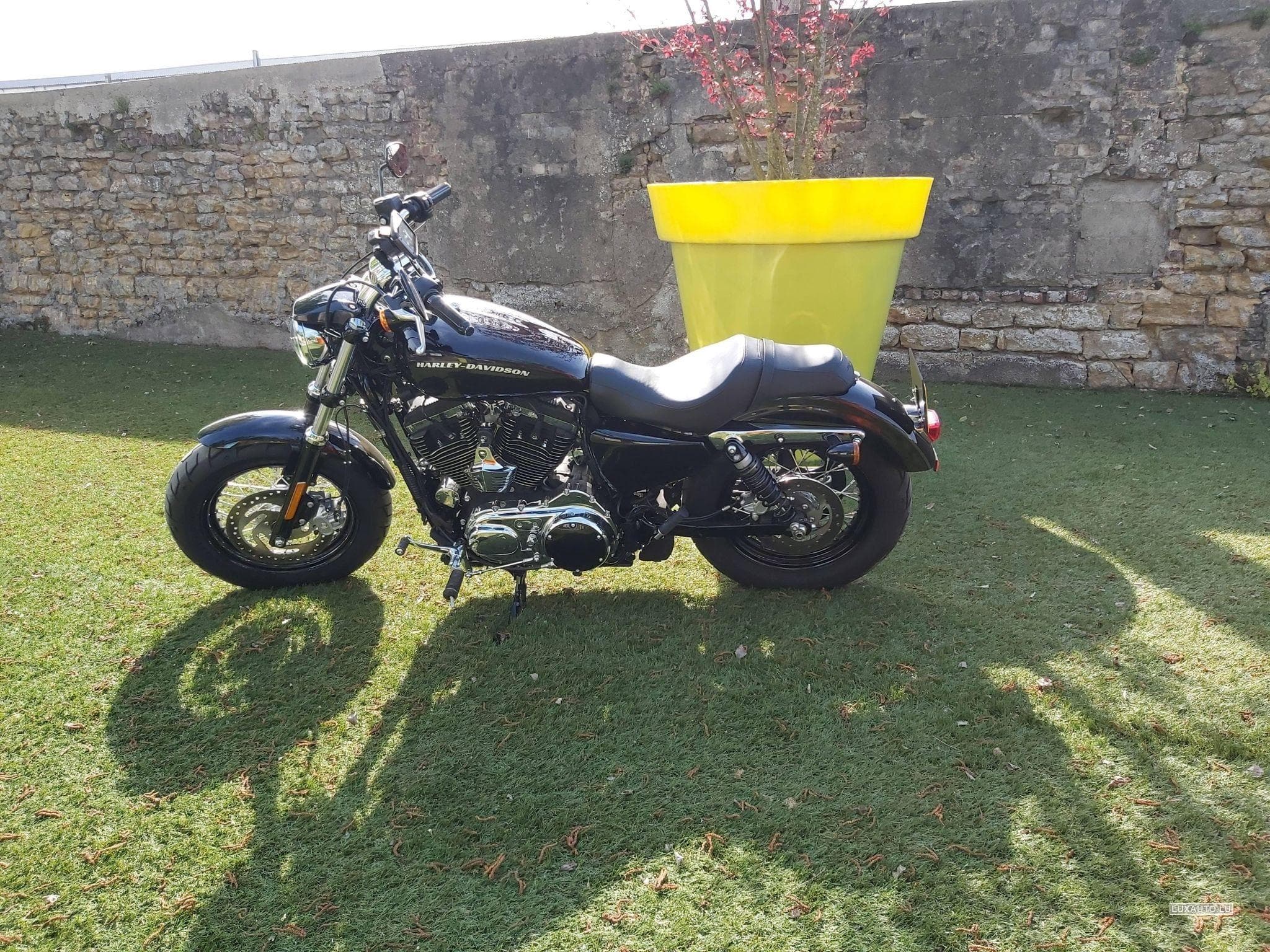 Harley-Davidson Custom Noire (2019) - Photo 2