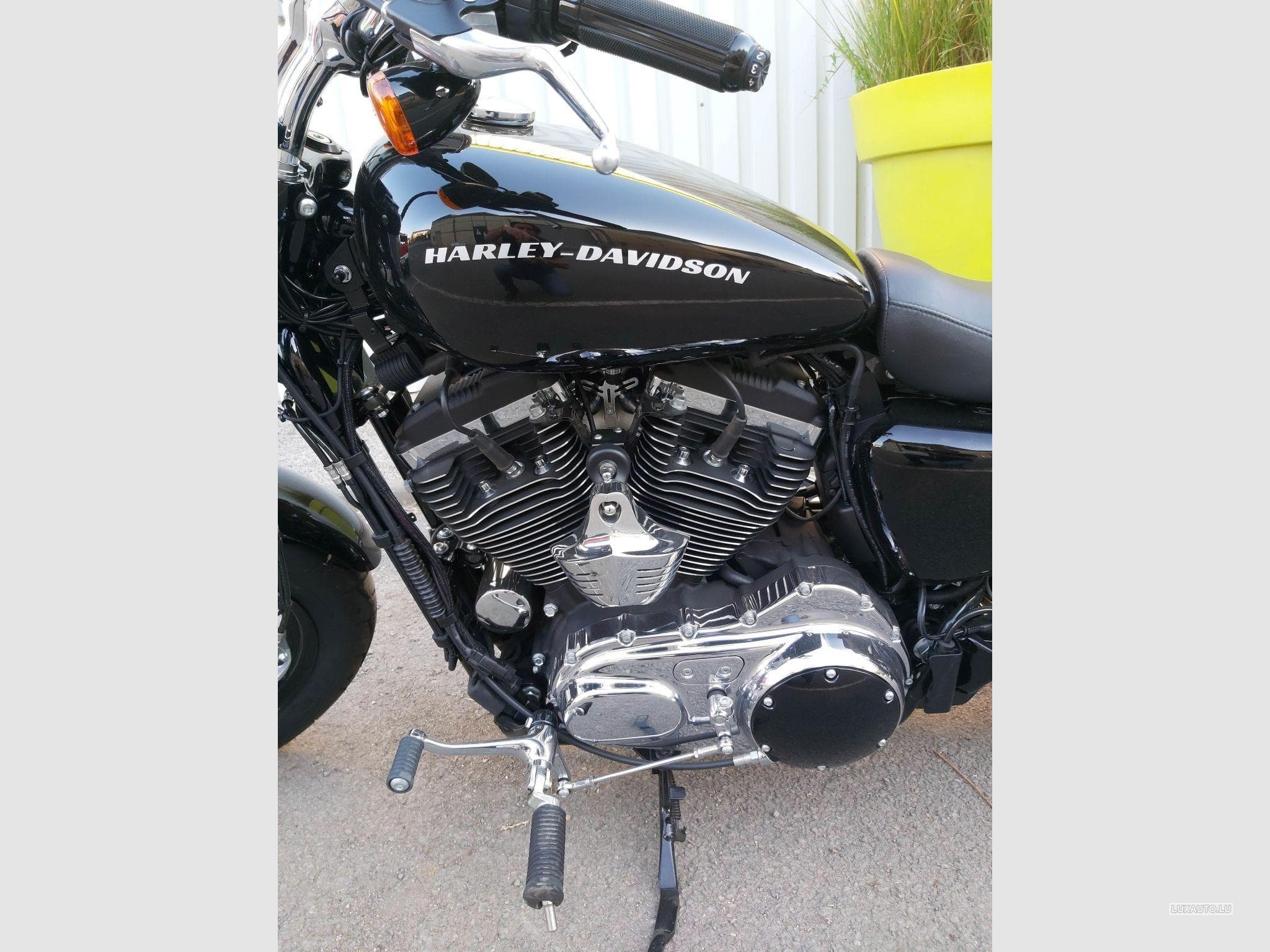 Harley-Davidson Custom Noire (2019) - Photo 3