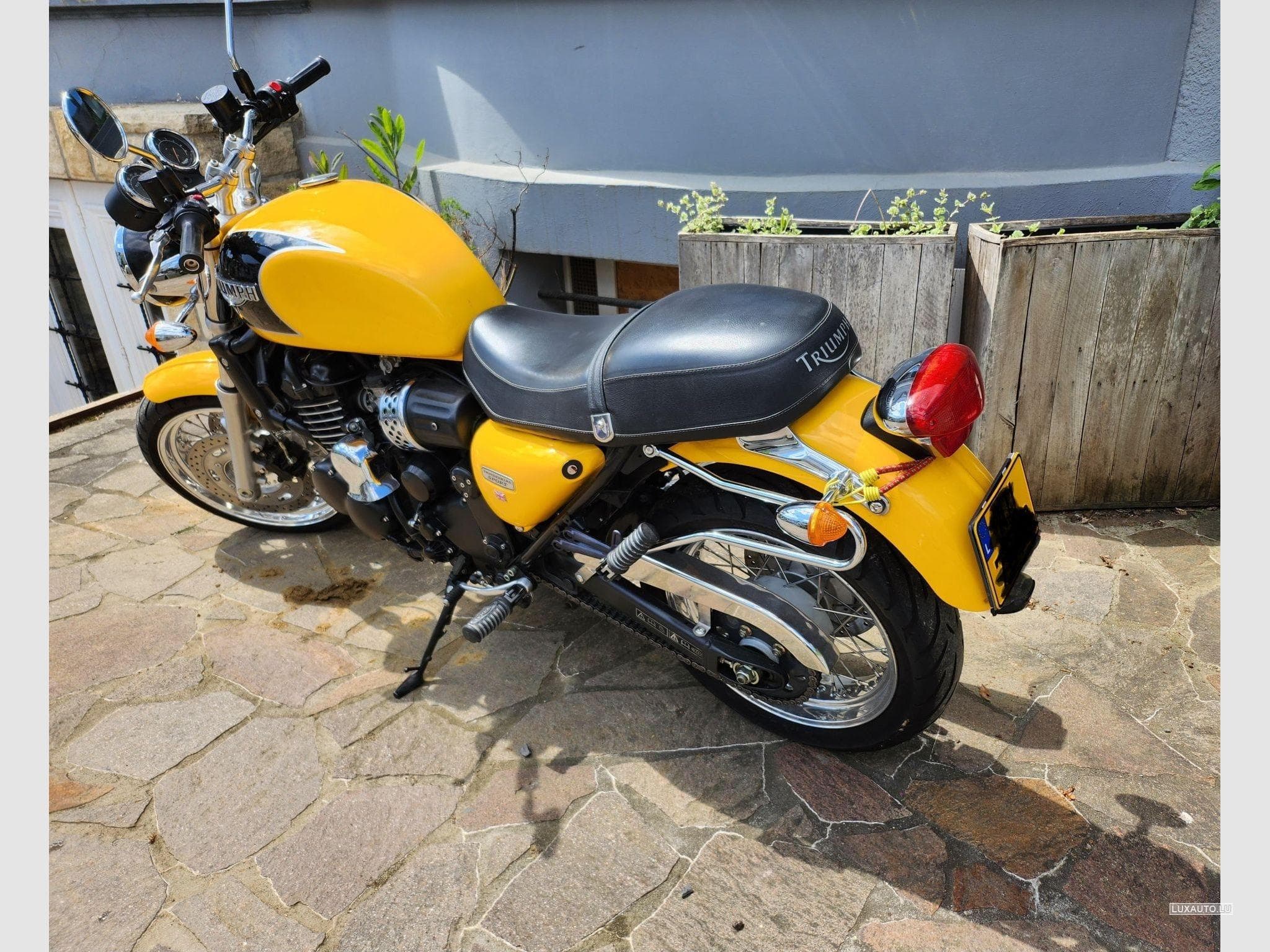 Triumph Thunderbird (1989) - Photo 2