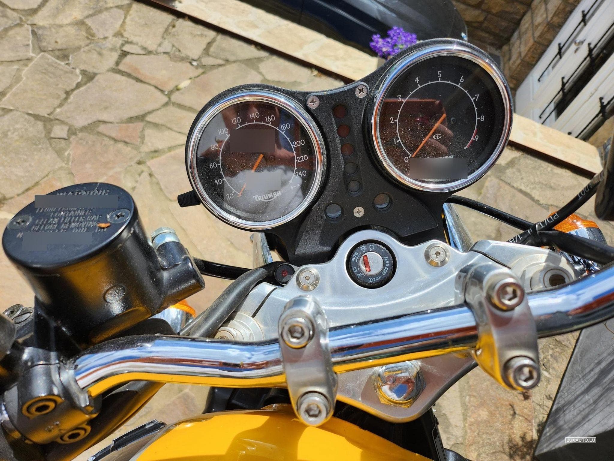 Triumph Thunderbird (1989) - Photo 3