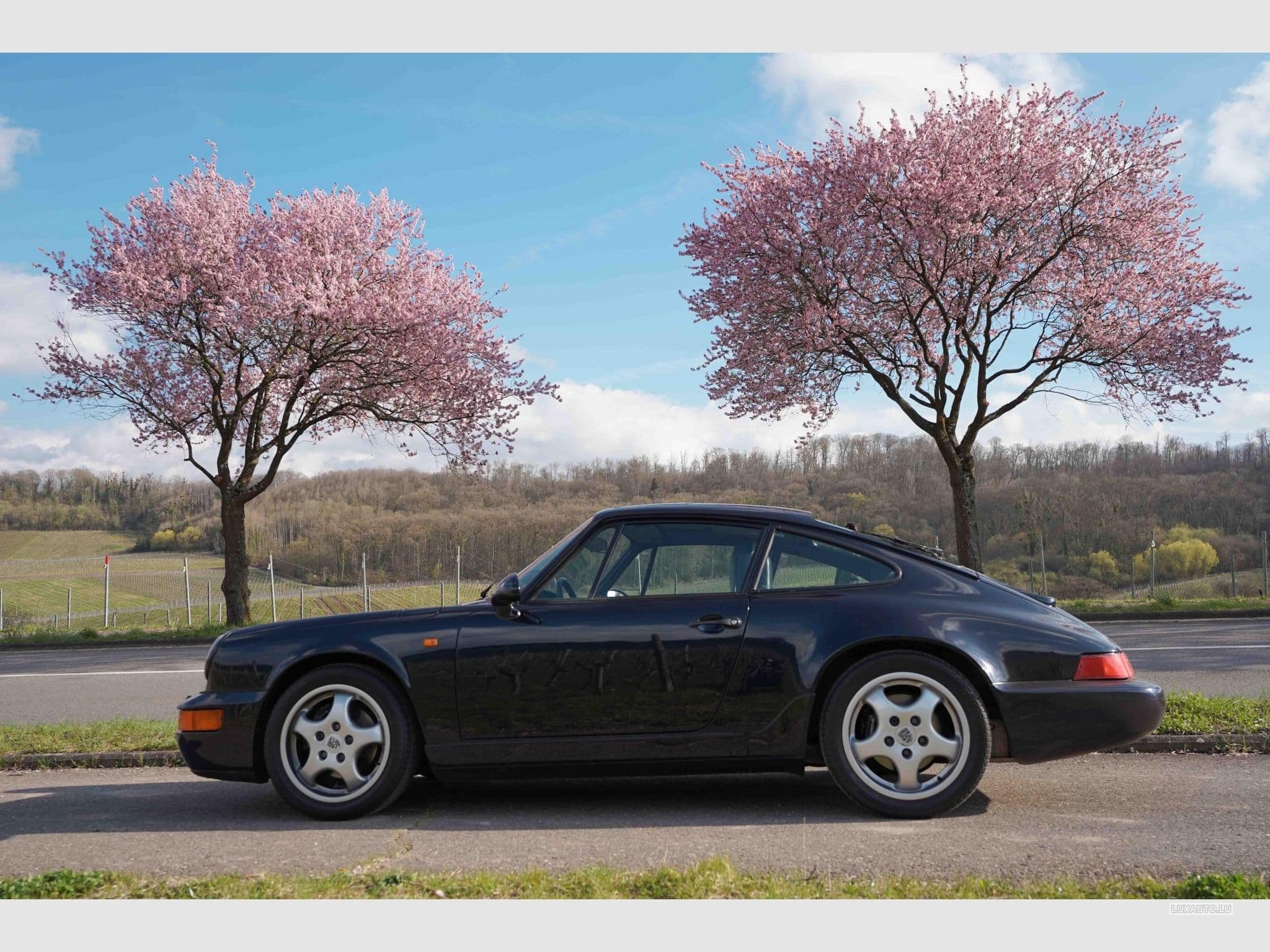 Porsche 911 Carrera 2 (1992) - Photo 3