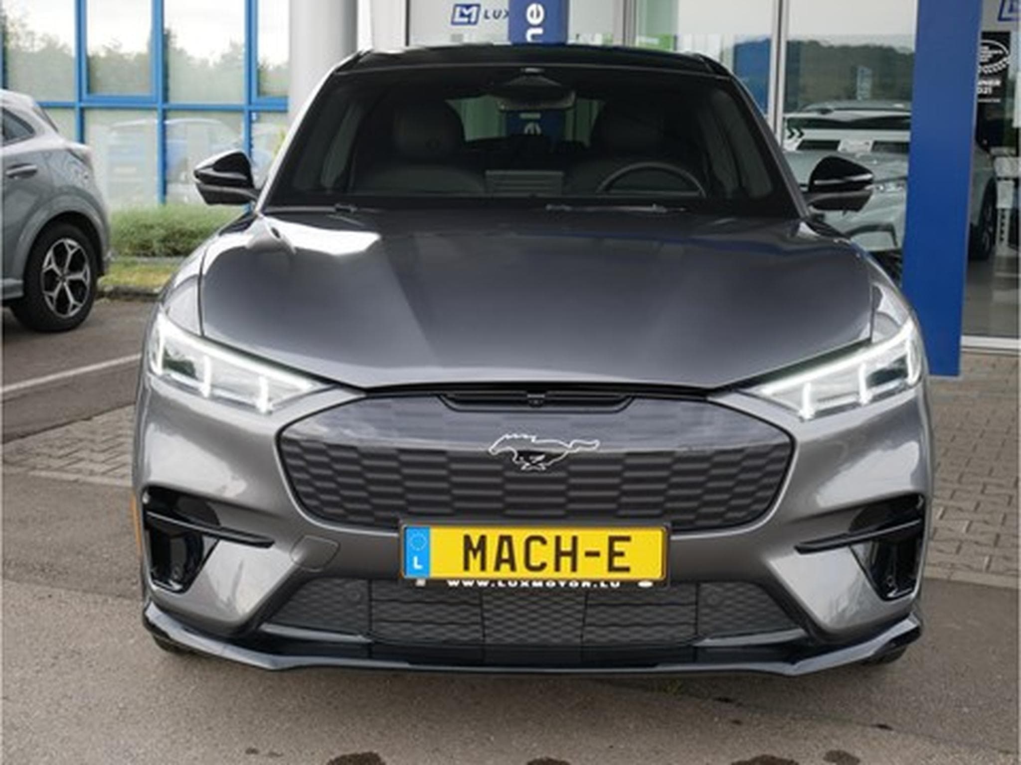 Ford Mustang Mach-E GT 99kWh Extended Range 487ch/258kW  AWD- A1 (2025) - Foto 1