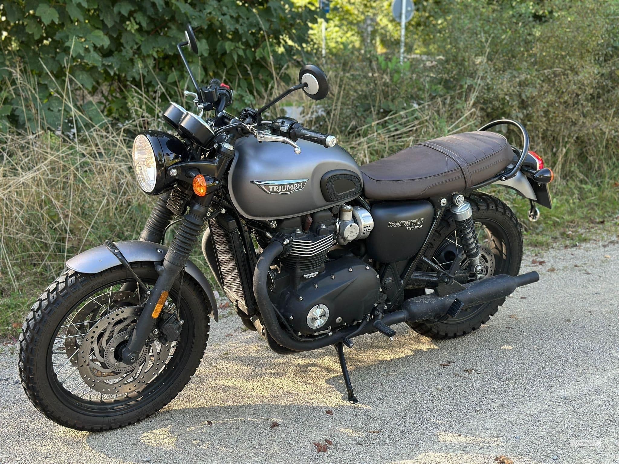 Triumph Bonneville (2017) - Photo 1