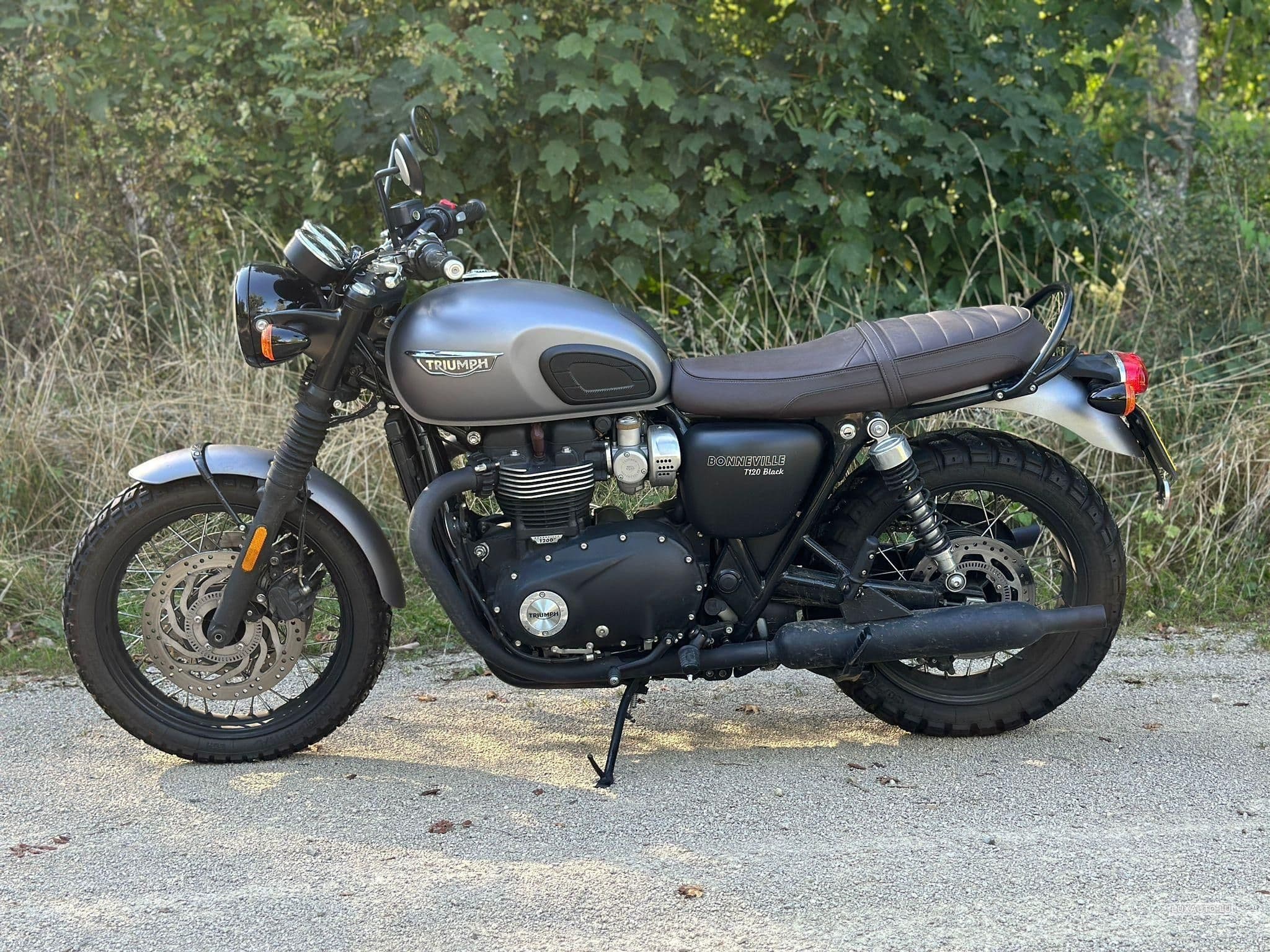 Triumph Bonneville (2017) - Photo 2