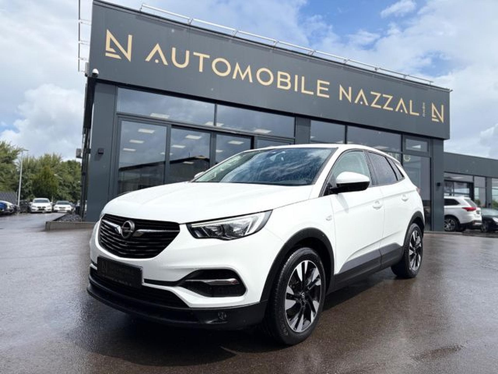 Opel Grandland Grandland (X) BUSINNES EDITION*LED*ALCANTARA*AHK (2018) - Photo 1