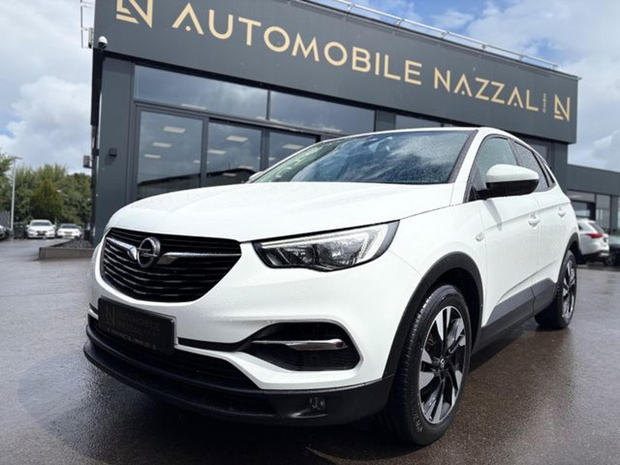 Opel Grandland Grandland (X) BUSINNES EDITION*LED*ALCANTARA*AHK (2018) - Photo 2