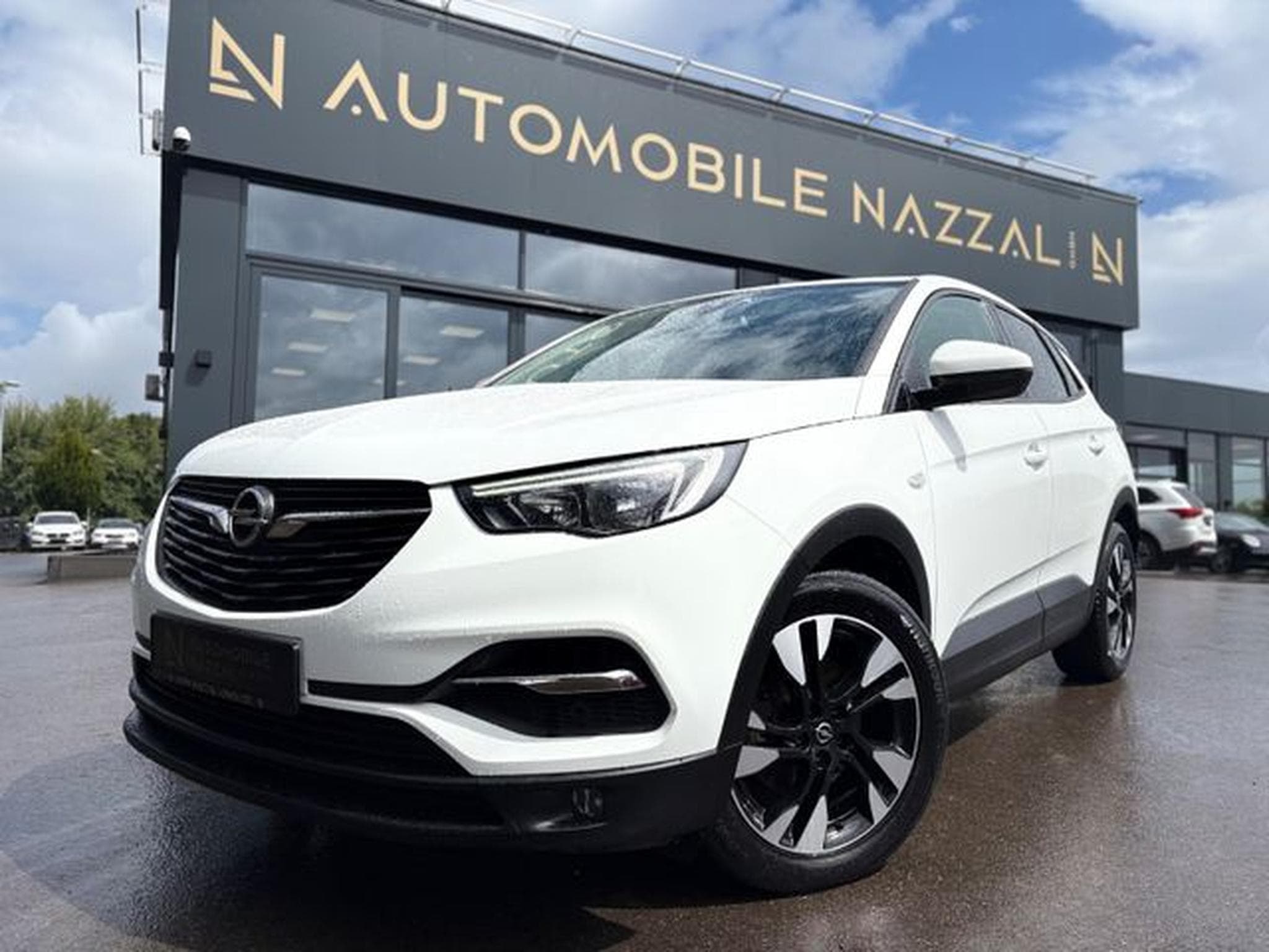 Opel Grandland Grandland (X) BUSINNES EDITION*LED*ALCANTARA*AHK (2018) - Photo 3