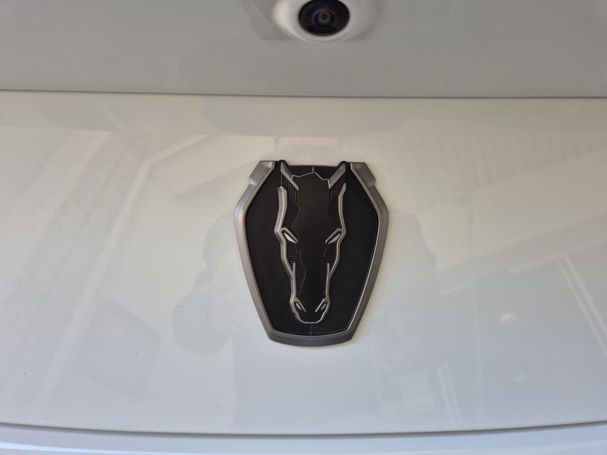 Ford Mustang STEEDA Q767 (2024) - Photo 7