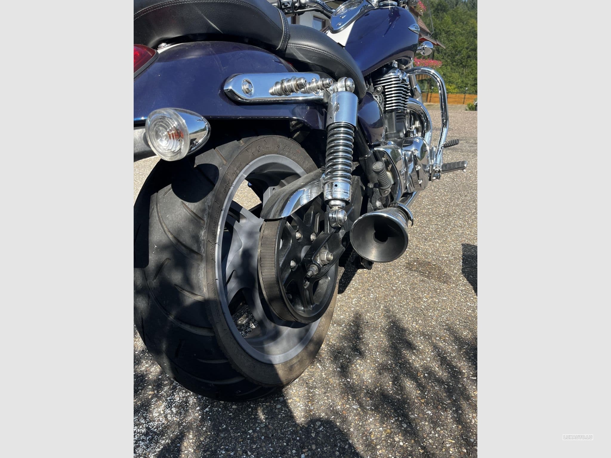 Triumph Thunderbird (2012) - Photo 4