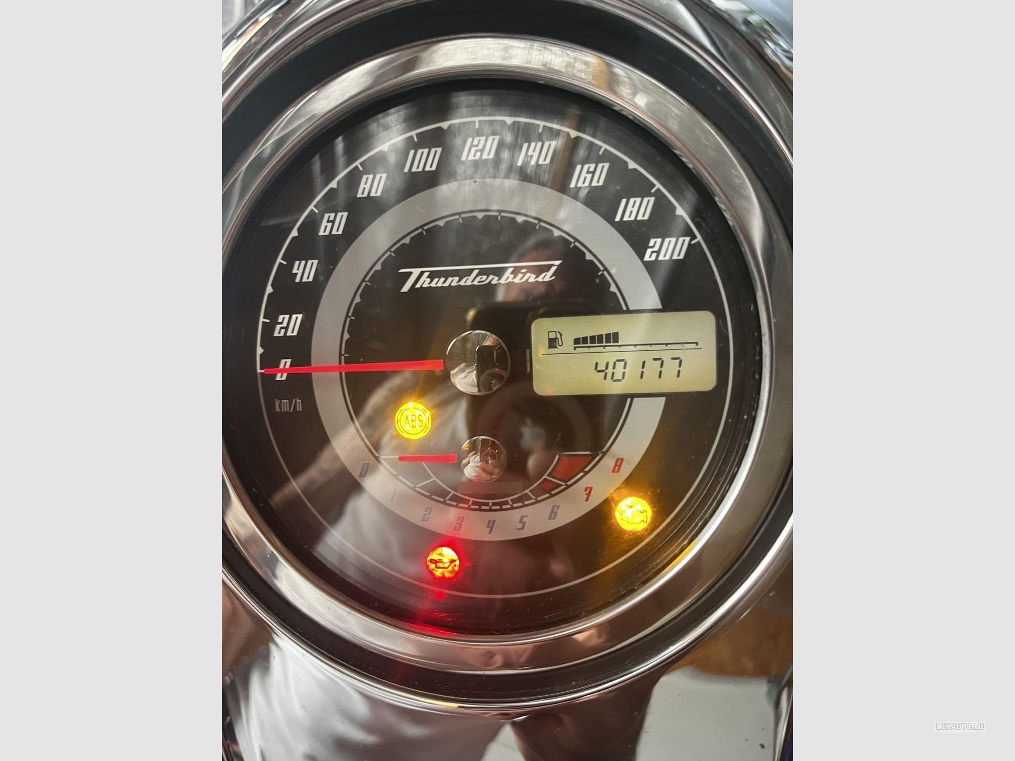 Triumph Thunderbird (2012) - Photo 6