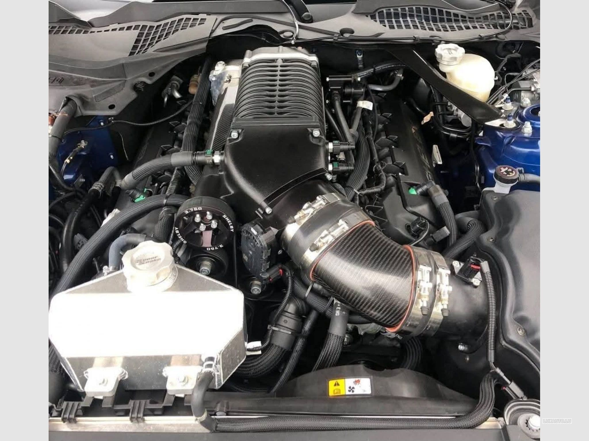 Ford Mustang FORD MUSTANG SHELBY SUPERSNAKE 50TH ANNIVERSARY 5.0 V8 716CH (2018) - Foto 13