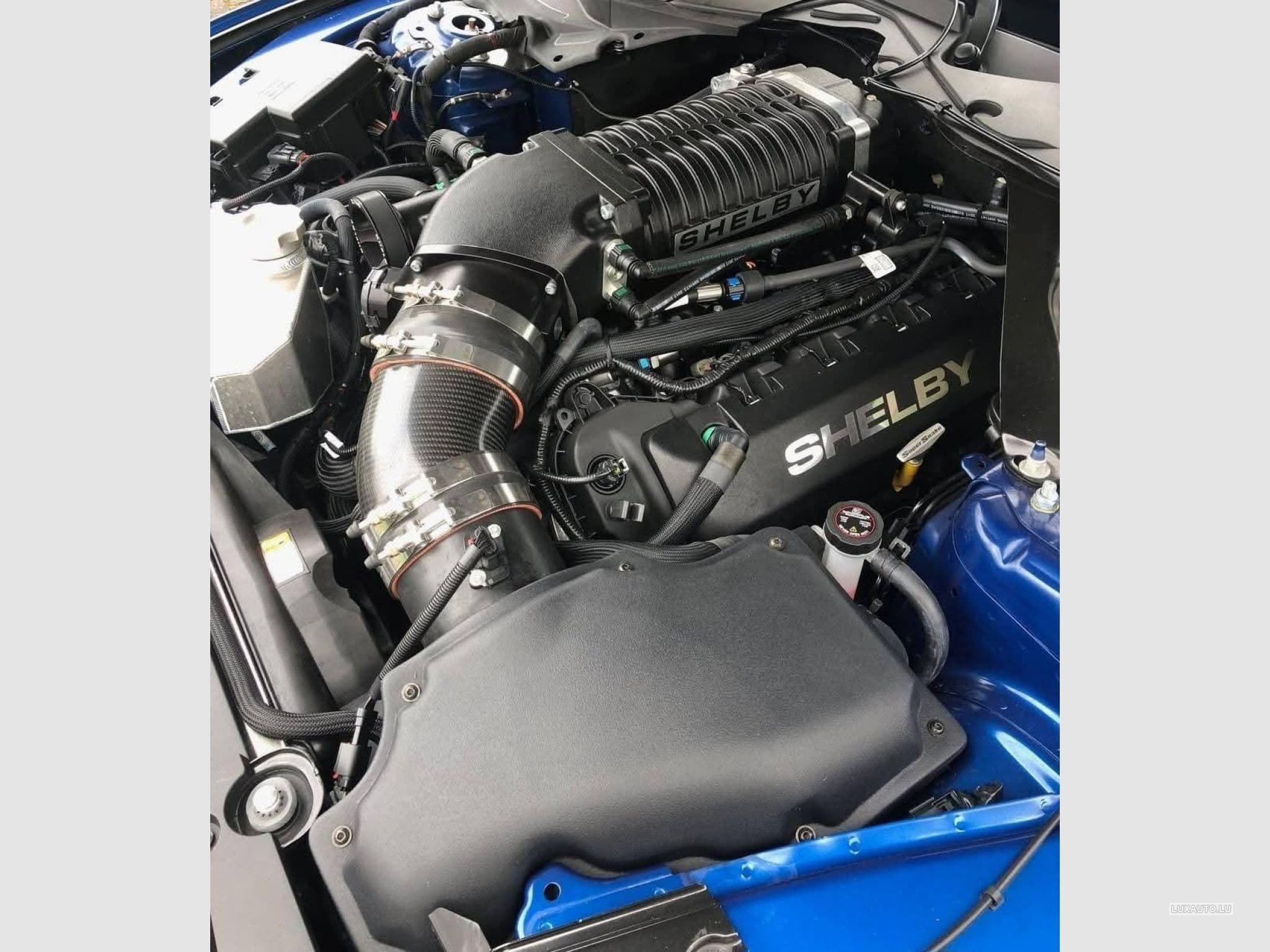 Ford Mustang FORD MUSTANG SHELBY SUPERSNAKE 50TH ANNIVERSARY 5.0 V8 716CH (2018) - Foto 14