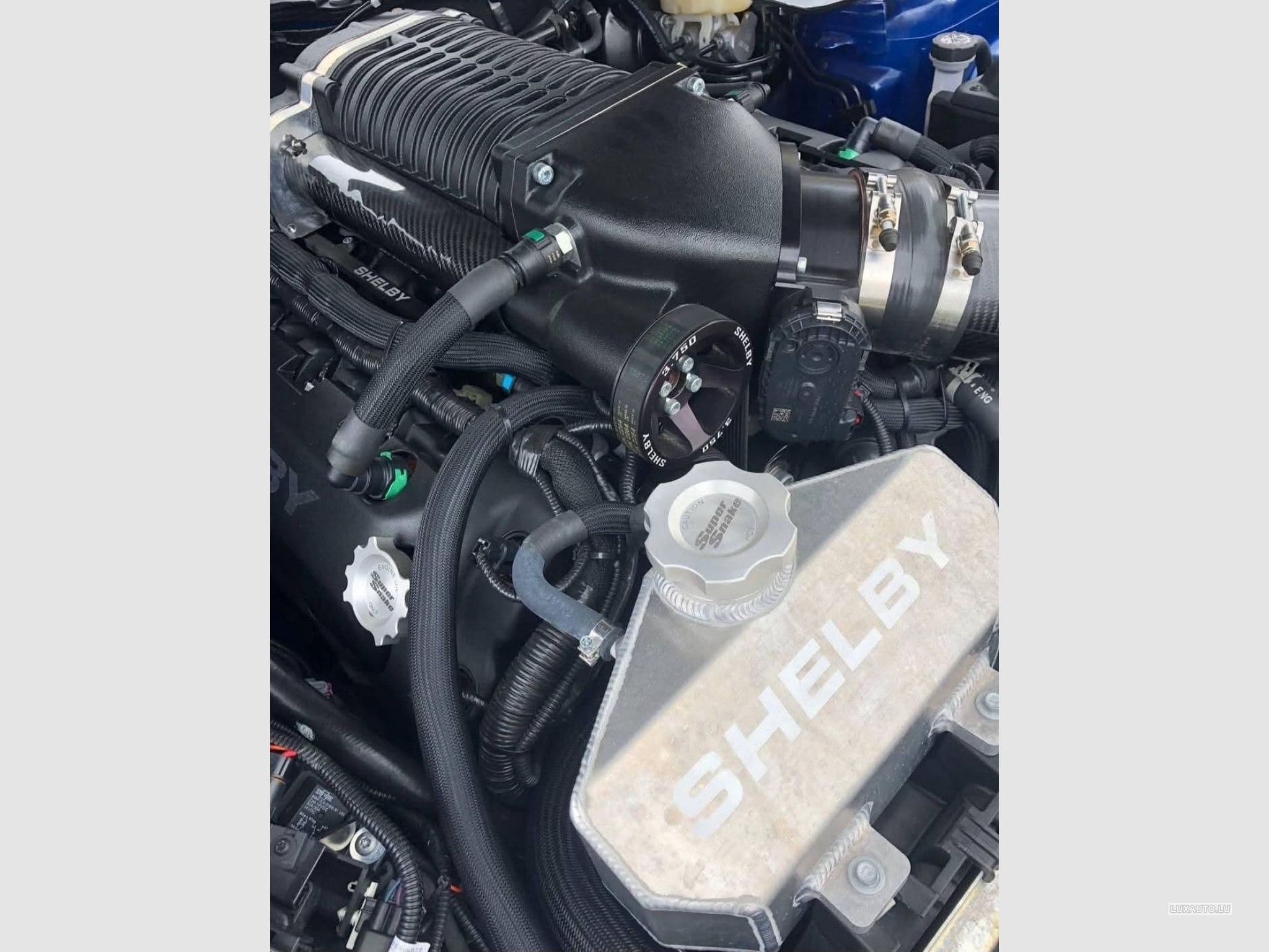 Ford Mustang FORD MUSTANG SHELBY SUPERSNAKE 50TH ANNIVERSARY 5.0 V8 716CH (2018) - Foto 15