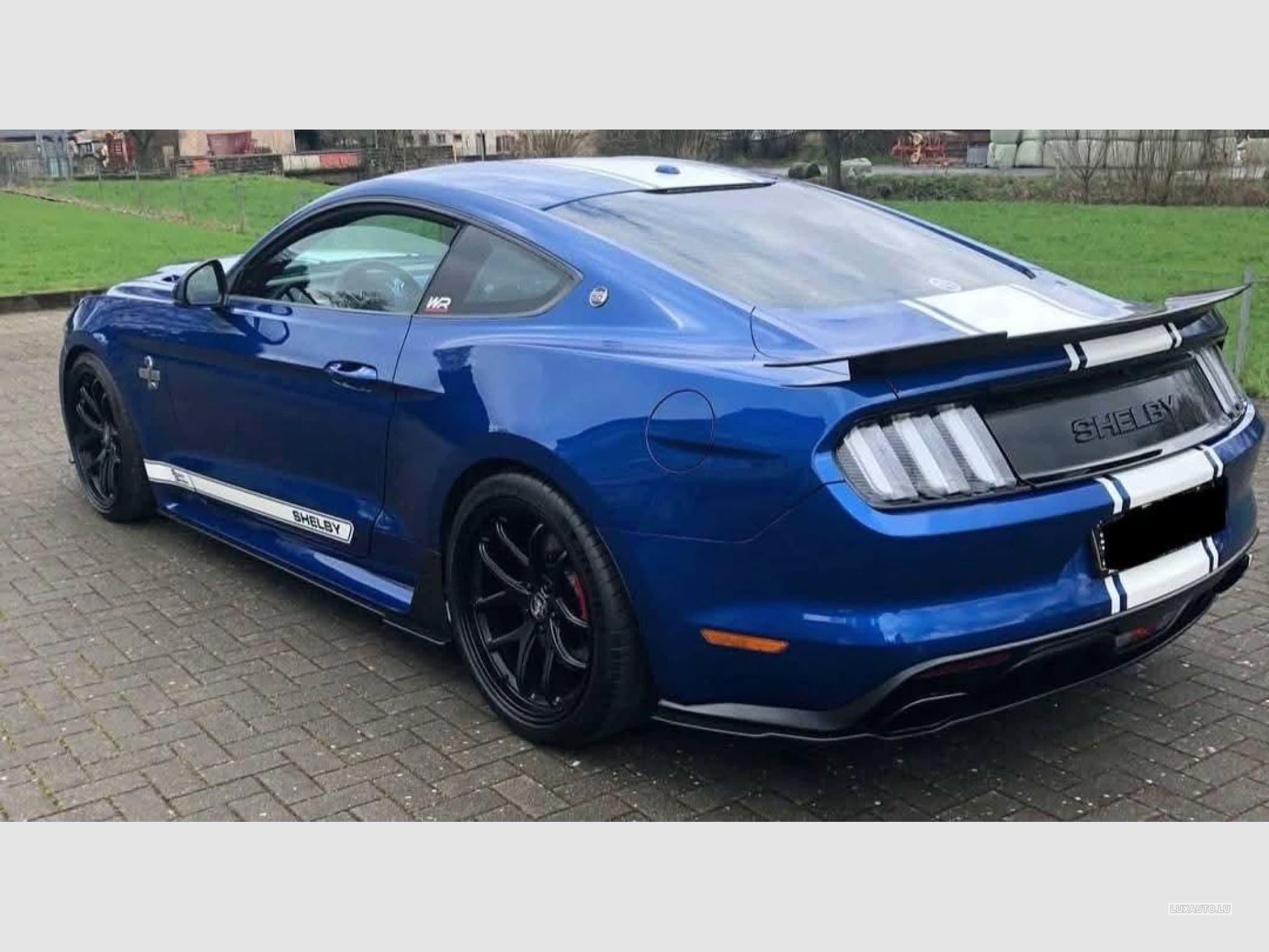 Ford Mustang FORD MUSTANG SHELBY SUPERSNAKE 50TH ANNIVERSARY 5.0 V8 716CH (2018) - Foto 5