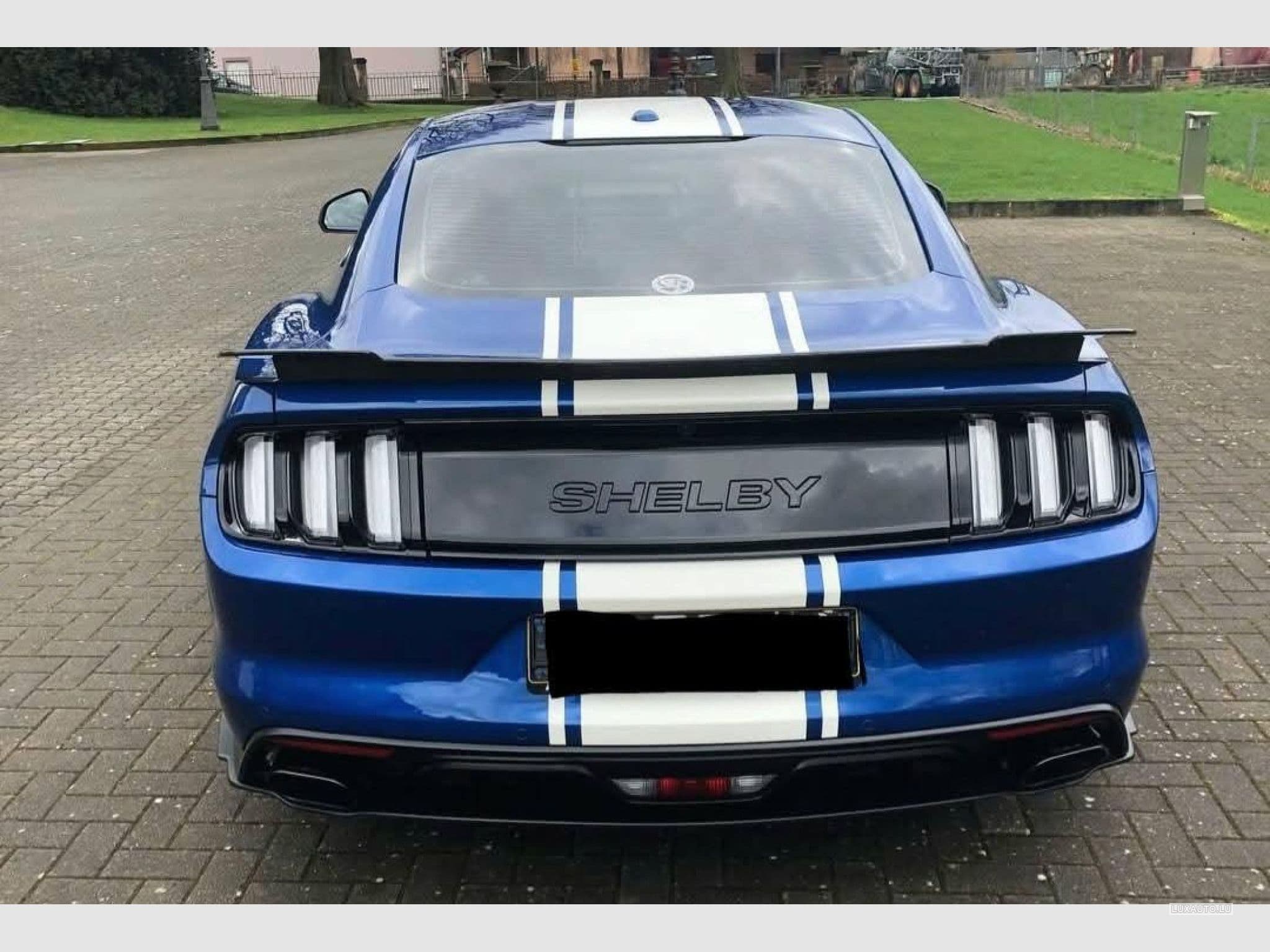 Ford Mustang FORD MUSTANG SHELBY SUPERSNAKE 50TH ANNIVERSARY 5.0 V8 716CH (2018) - Foto 6