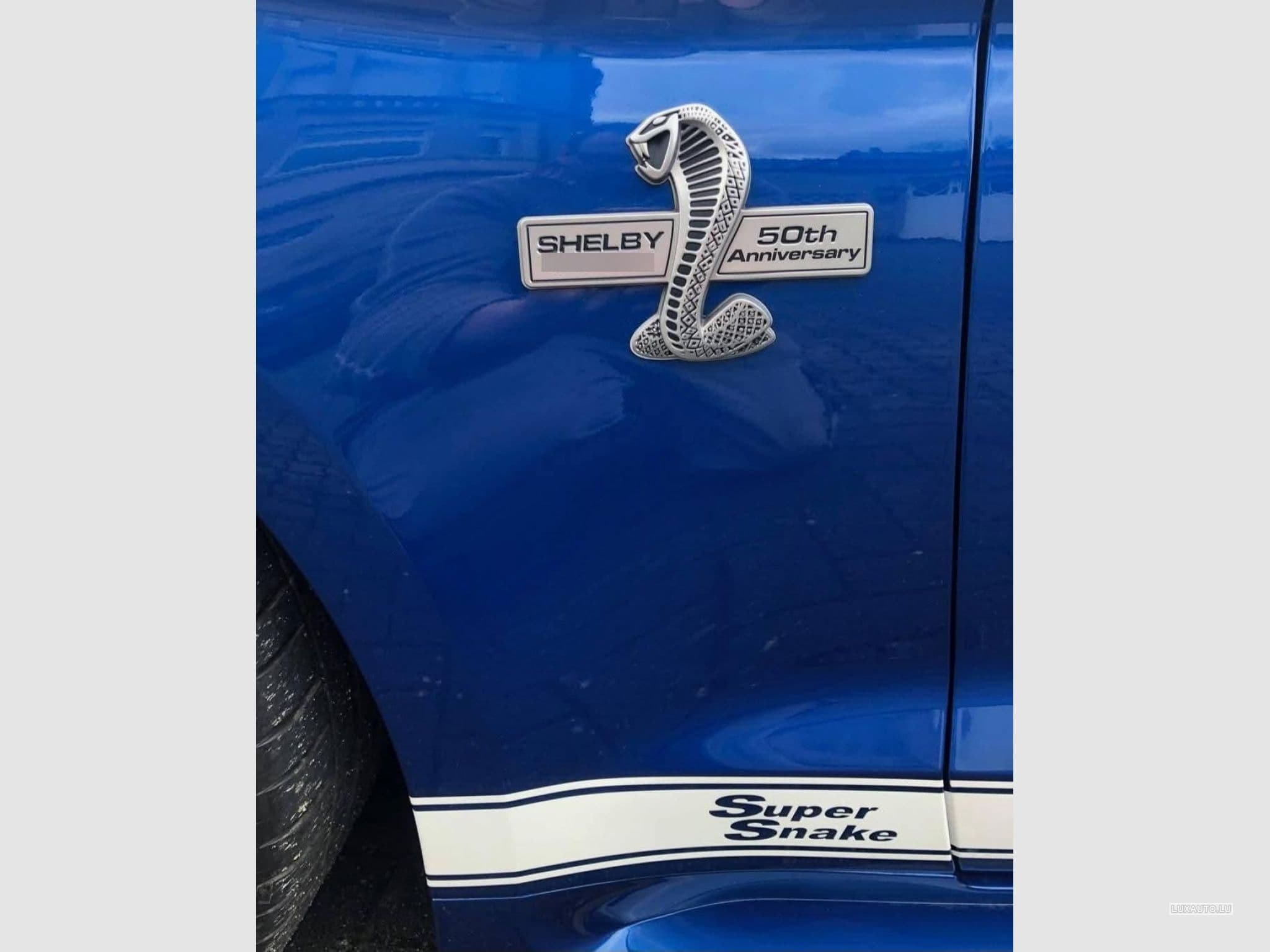 Ford Mustang FORD MUSTANG SHELBY SUPERSNAKE 50TH ANNIVERSARY 5.0 V8 716CH (2018) - Foto 7