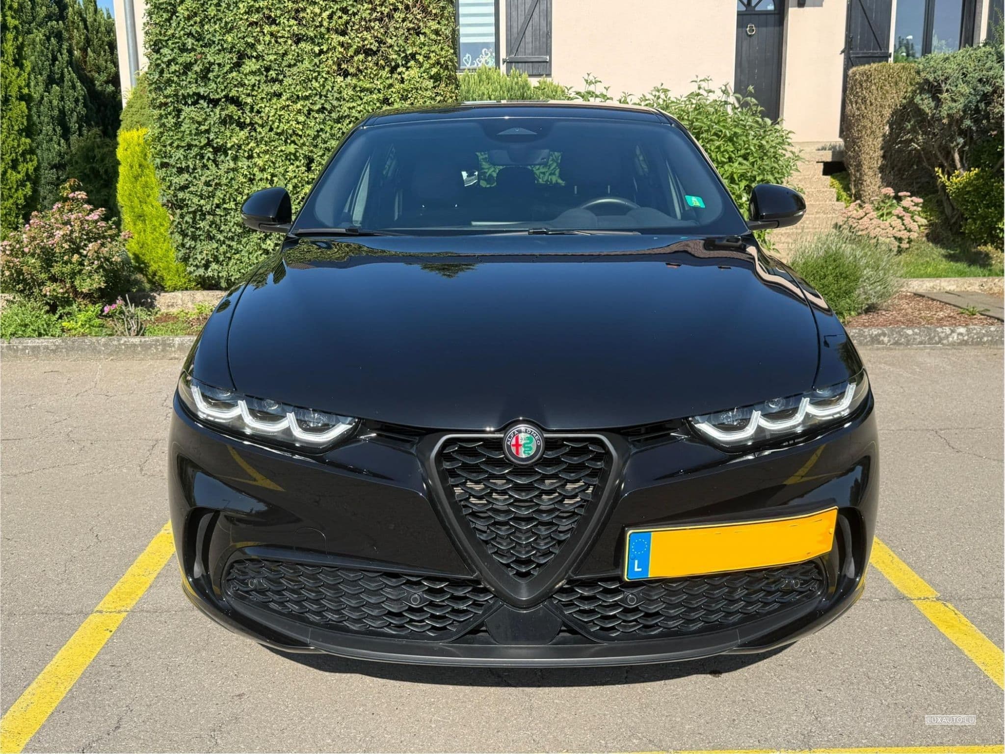 Alfa-Romeo Tonale Tonale 1.5 VGT Hybrid Veloce (2023) - Photo 2